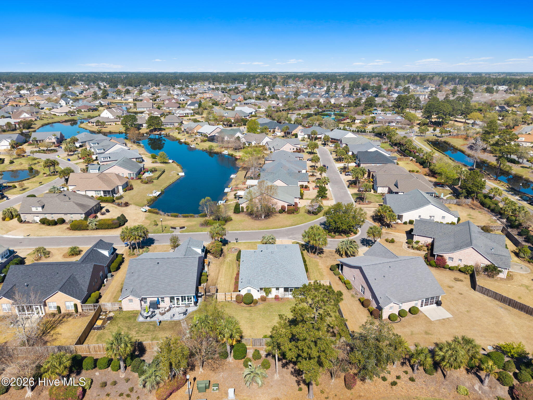 100562365 | Photo 32