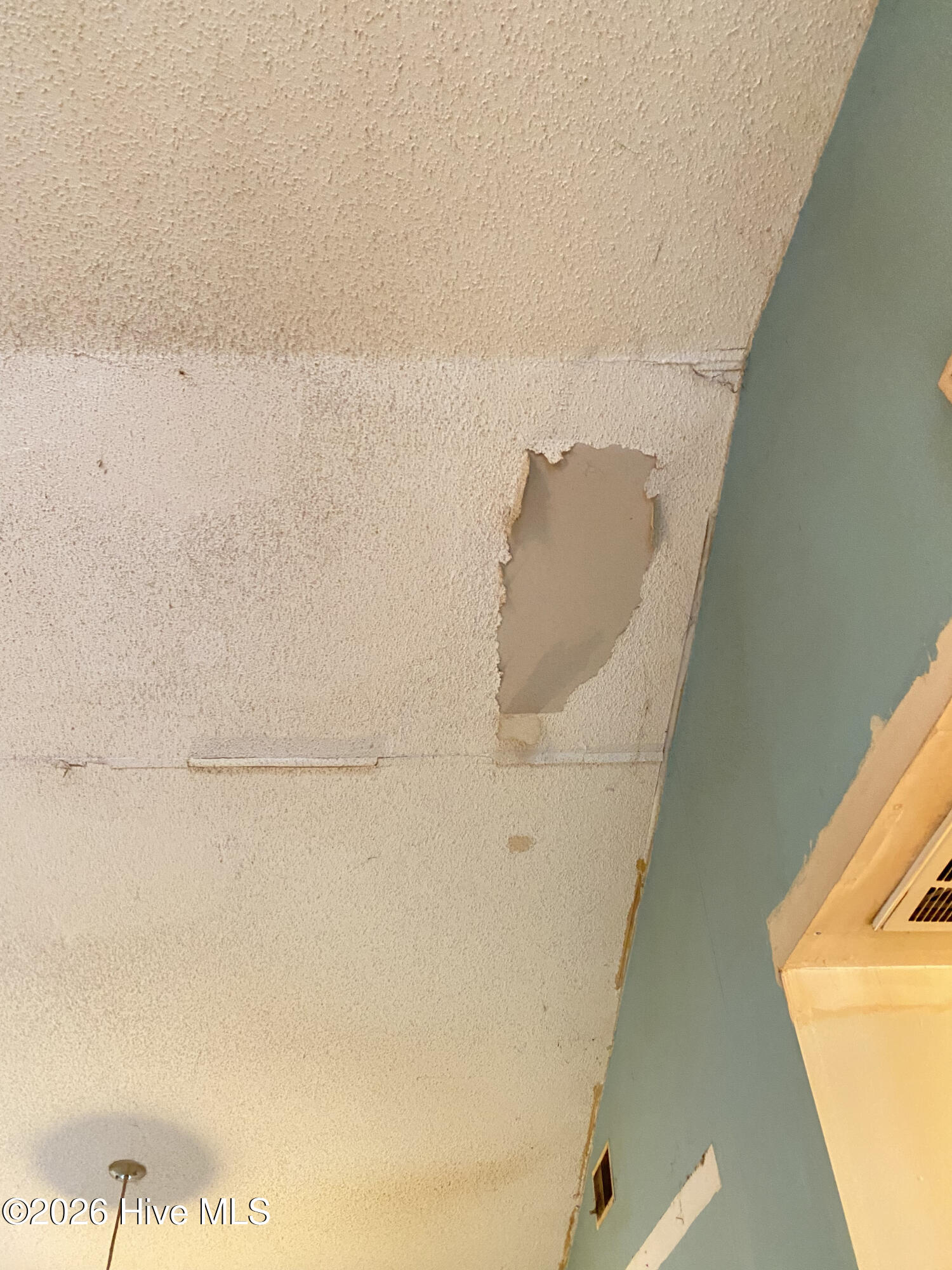 100561609 | Photo 11