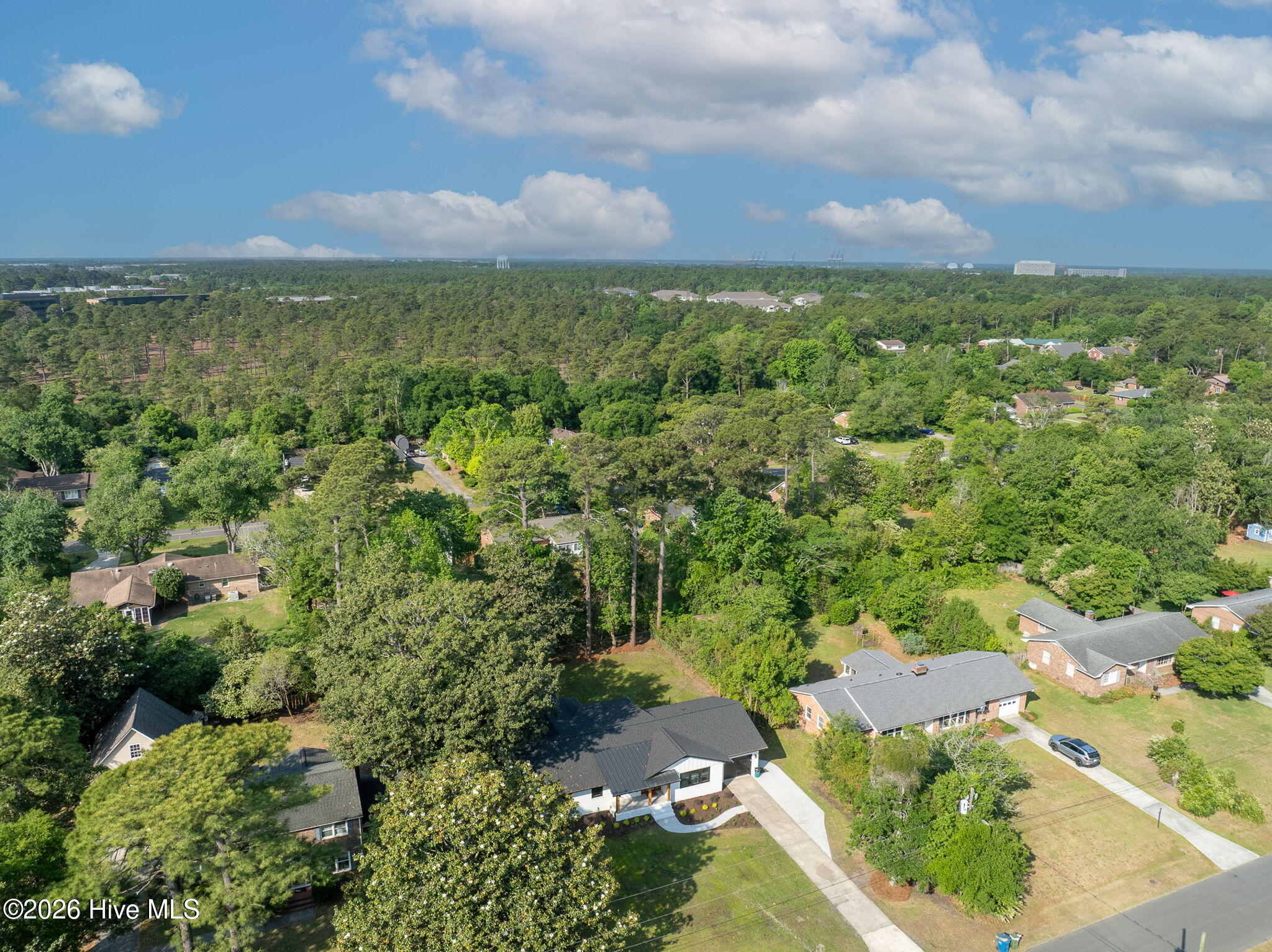 100569769 | Photo 79