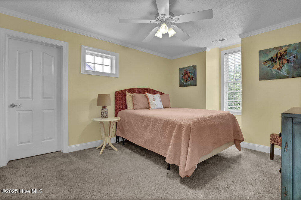 100513085 | Photo 34