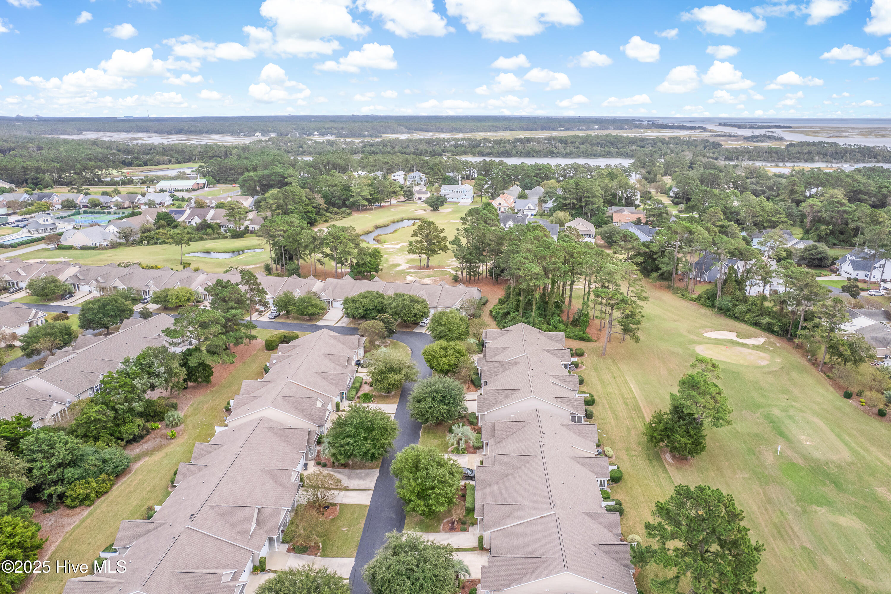 100537164 | Photo 39