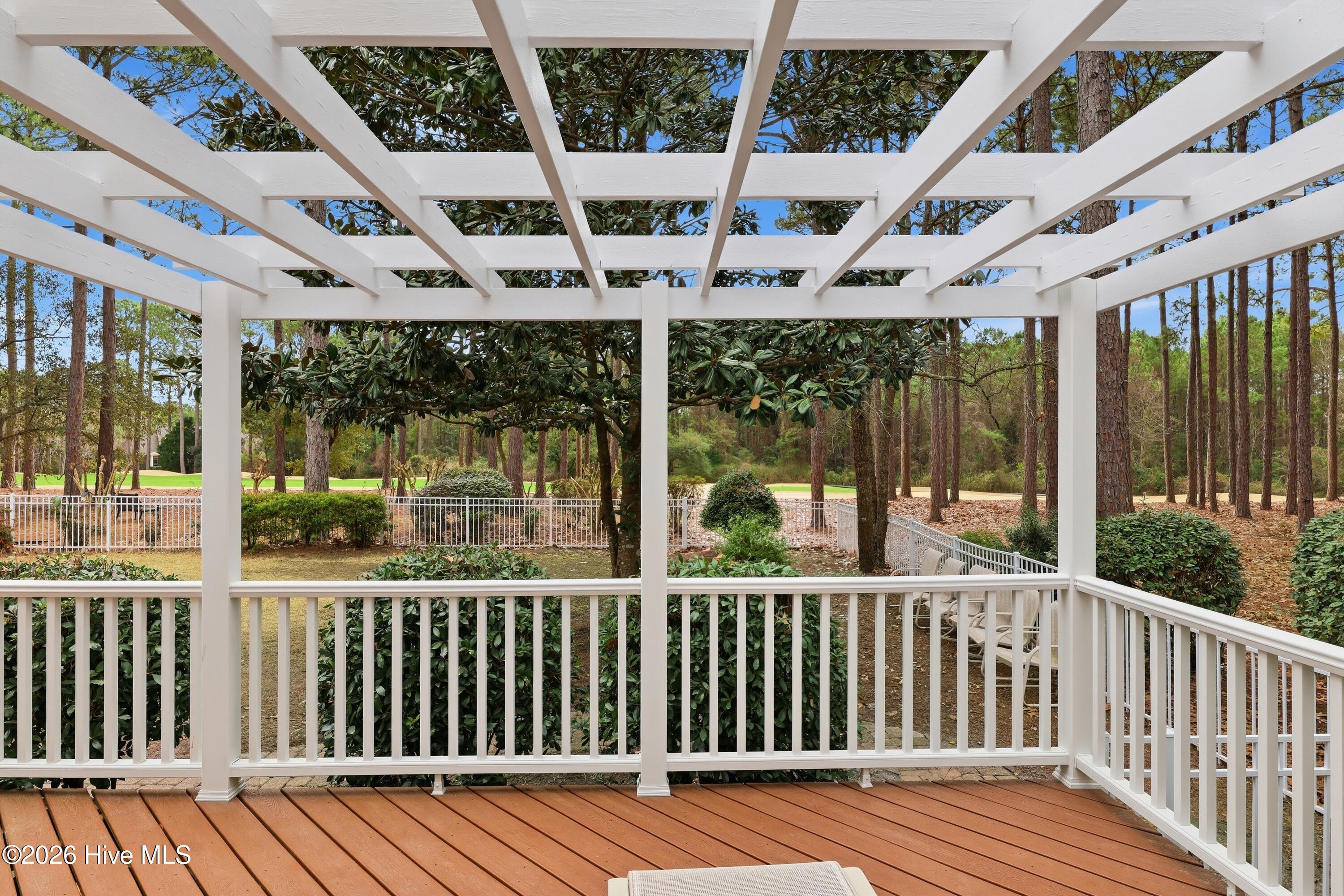 100558451 | Photo 39