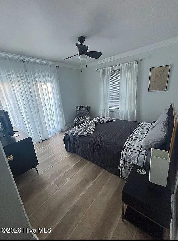 100558226 | Photo 11