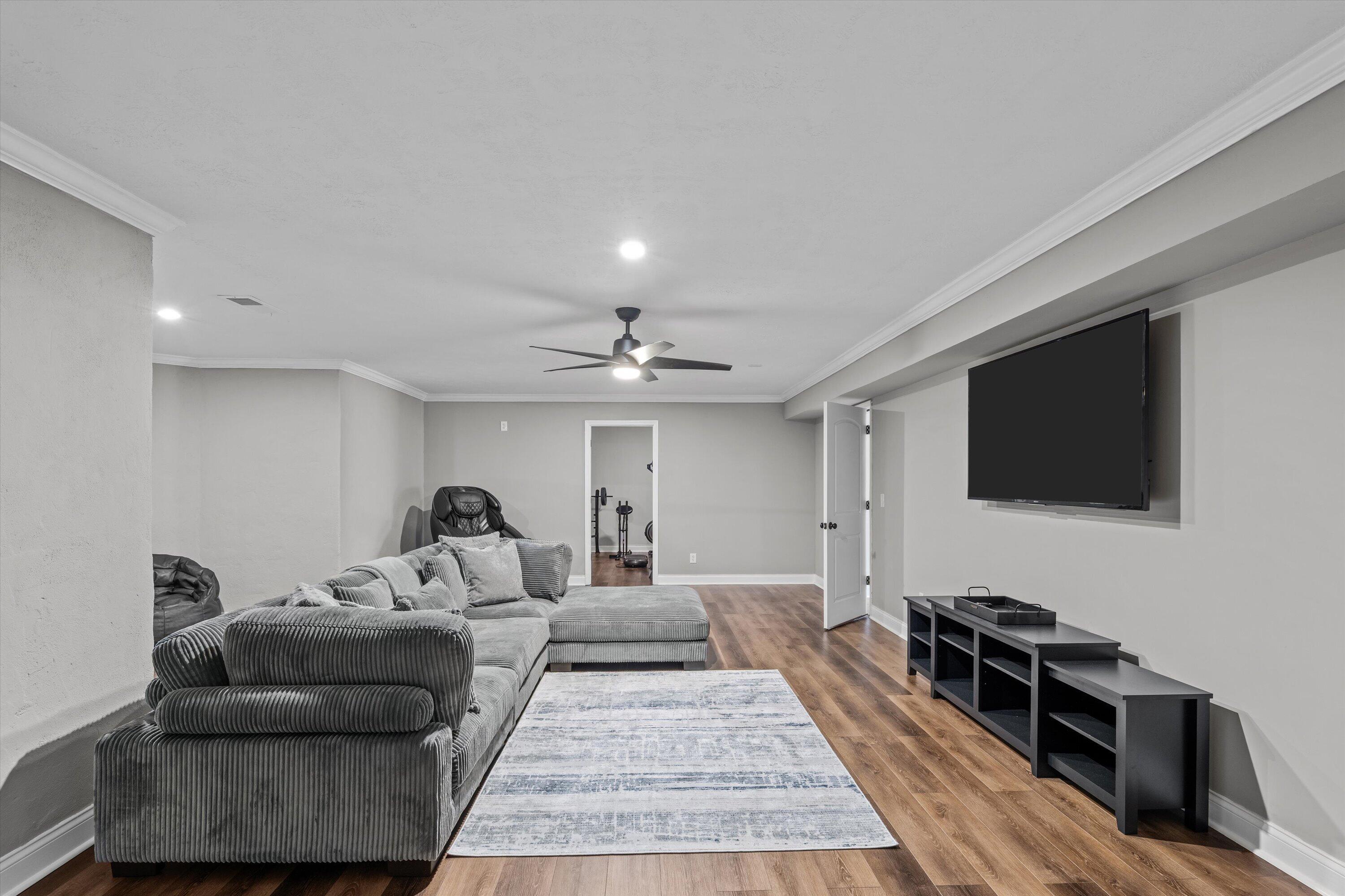 Entertainment Room