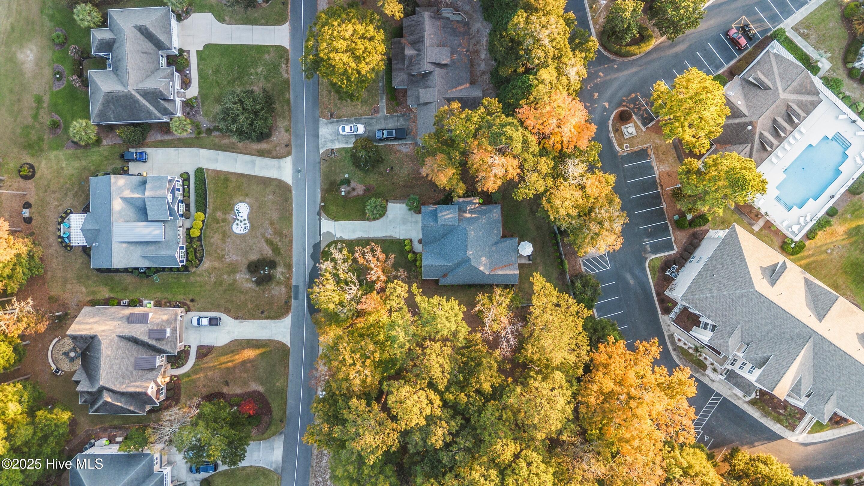 100542073 | Photo 53