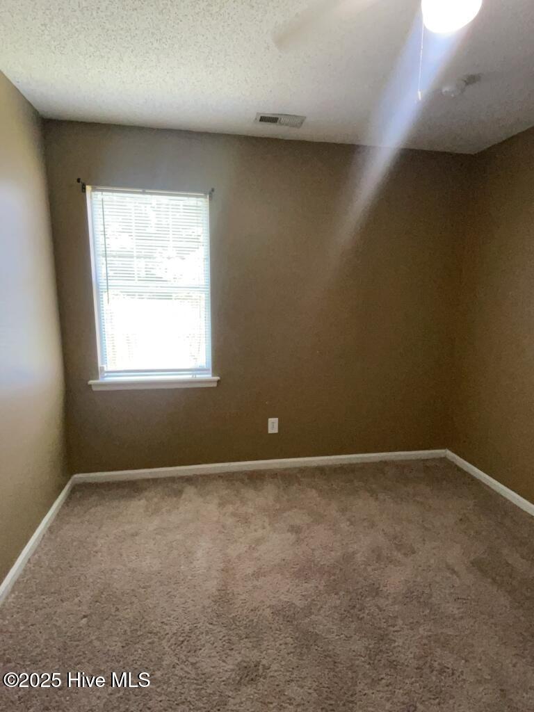 100505976 | Photo 10