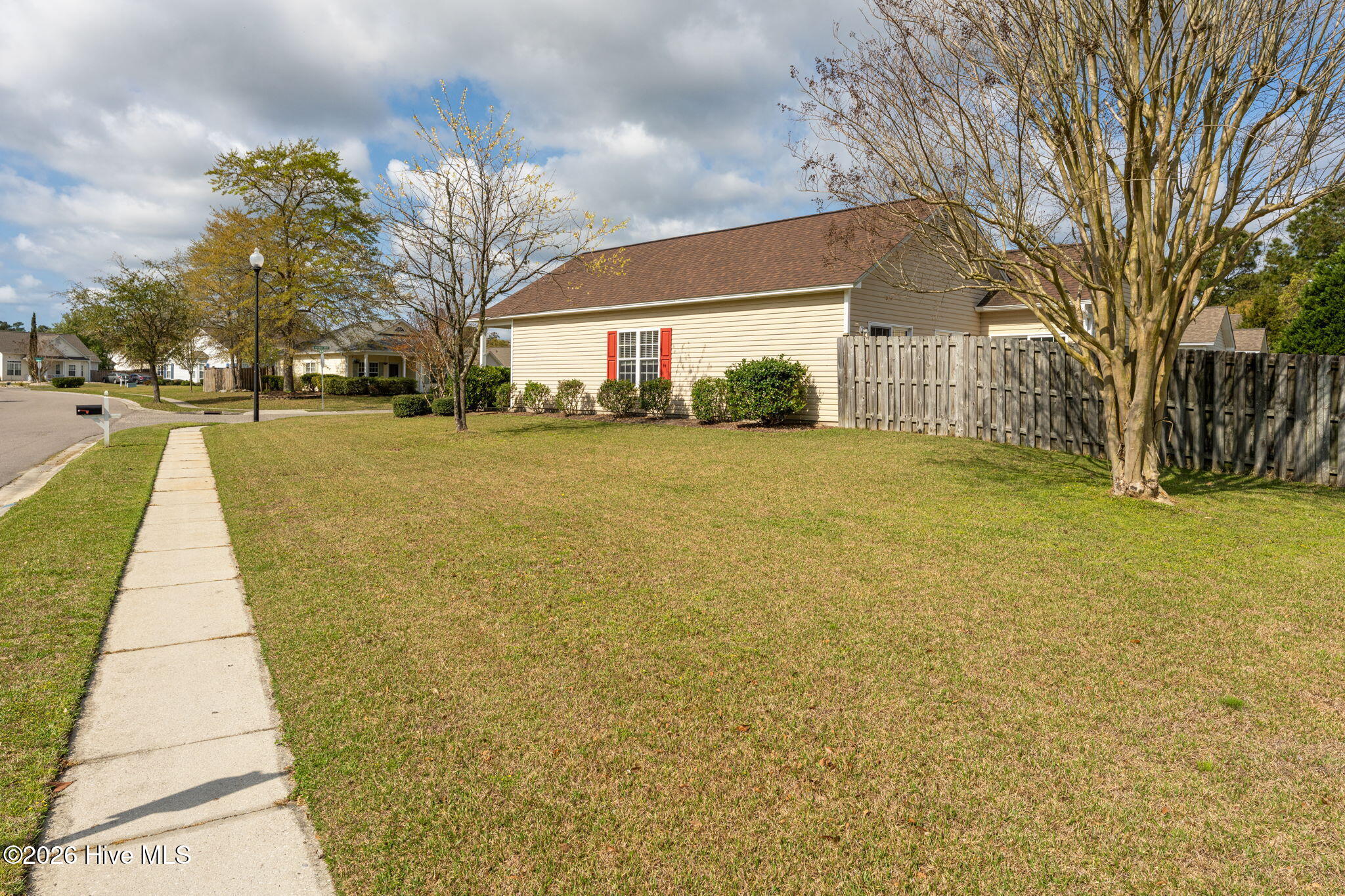 100563098 | Photo 29