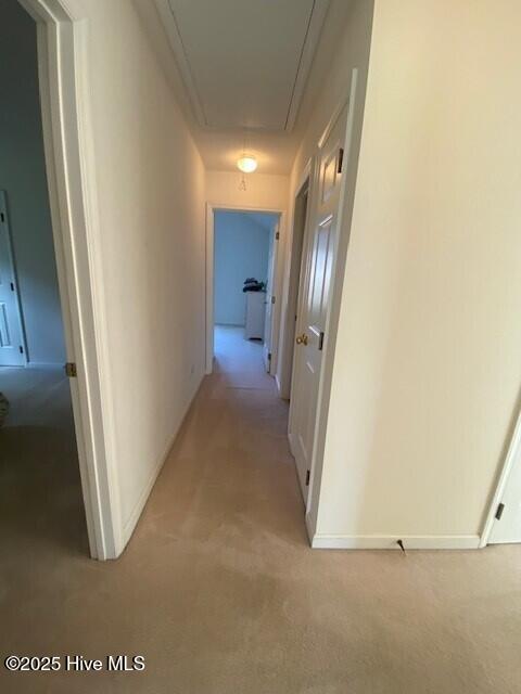 100565753 | Photo 26