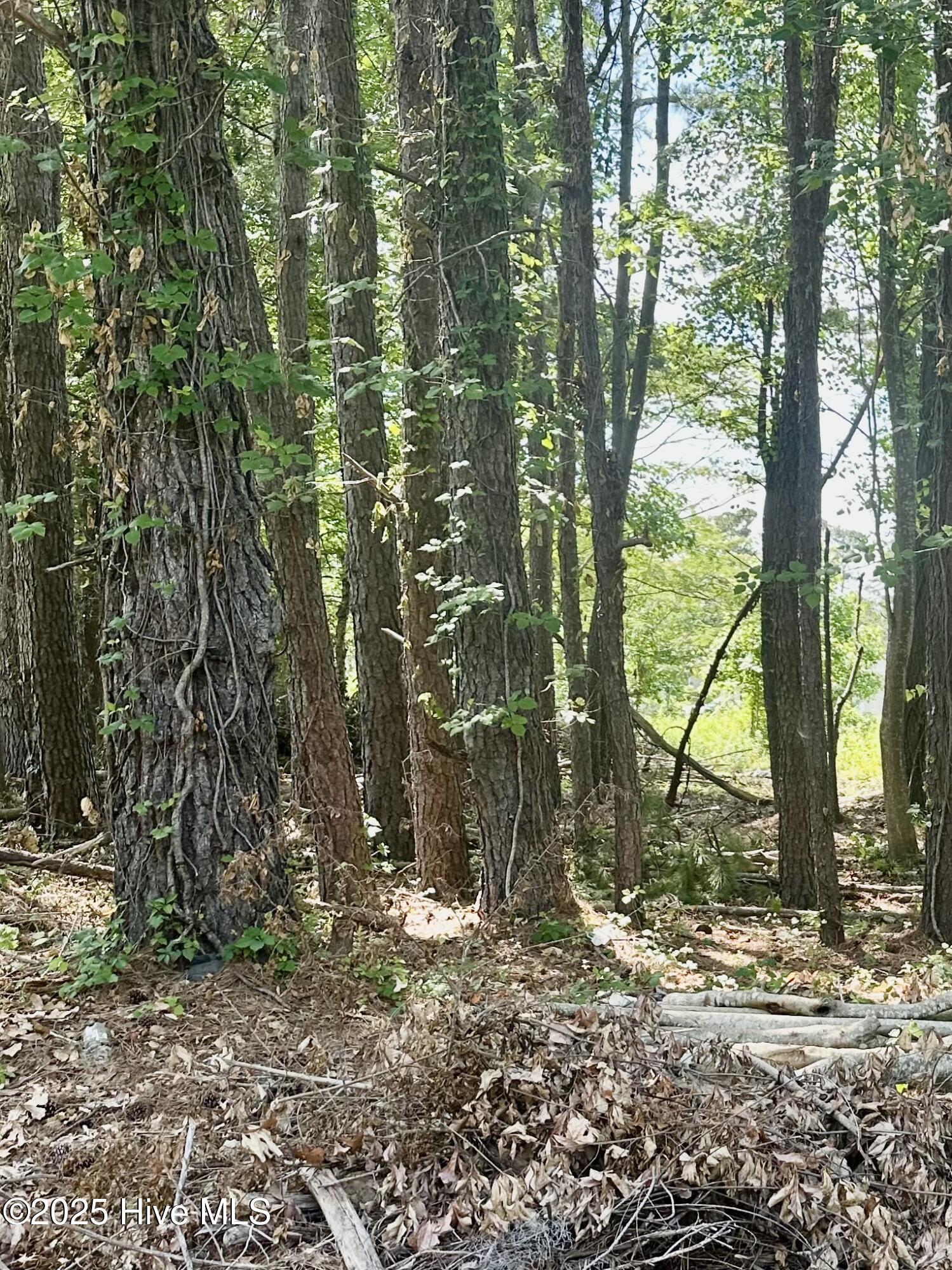 Homes for sale in Tabor City, NC | Near 107 Sykes St, Tabor City, NC 28463 | MLS# 100509666