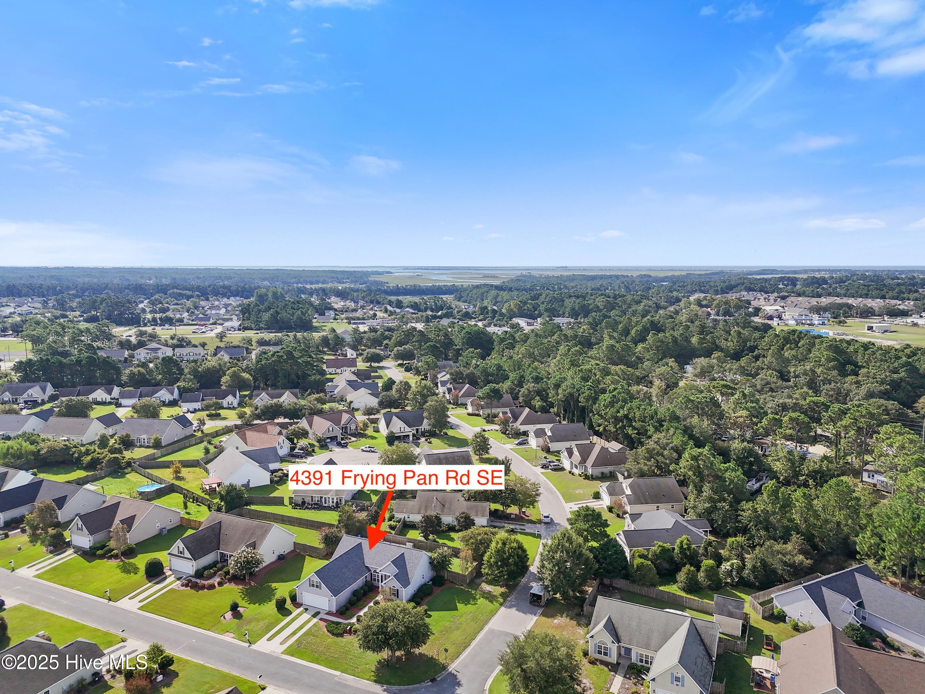 100526864 | Photo 51