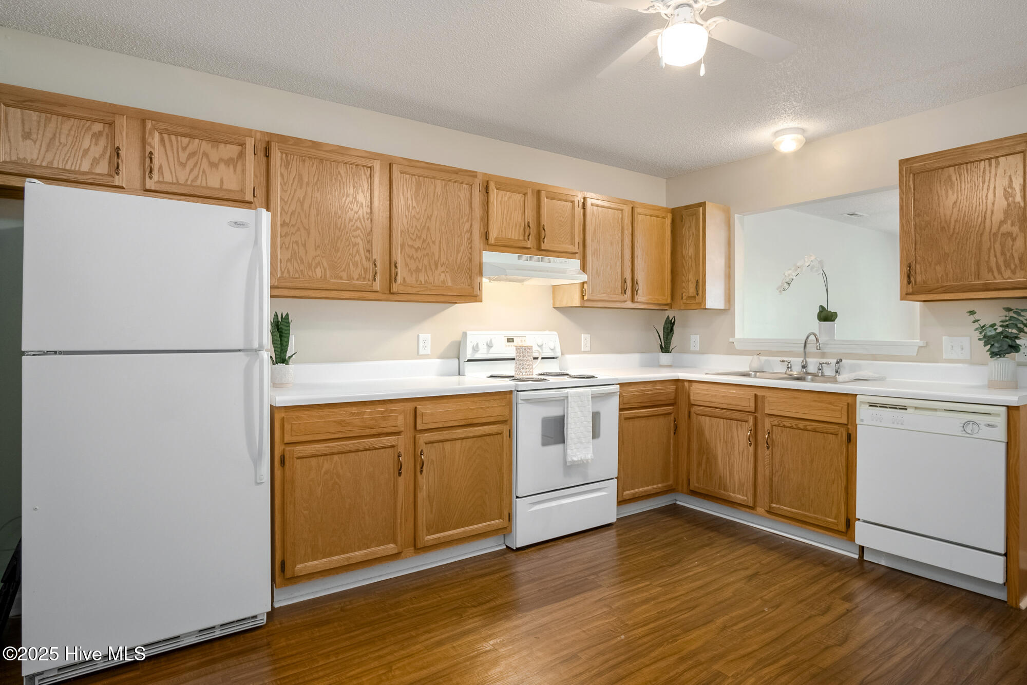 100546493 | Photo 12