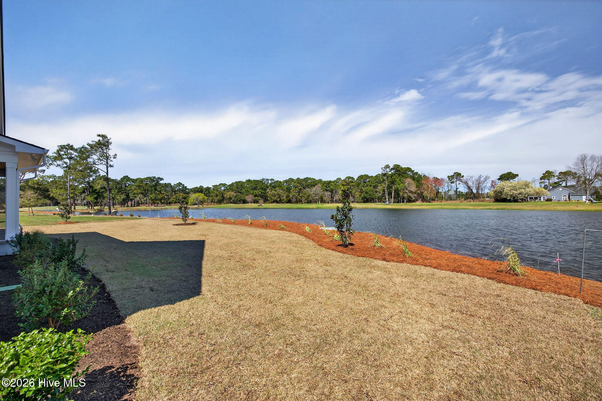 100542408 | Photo 16