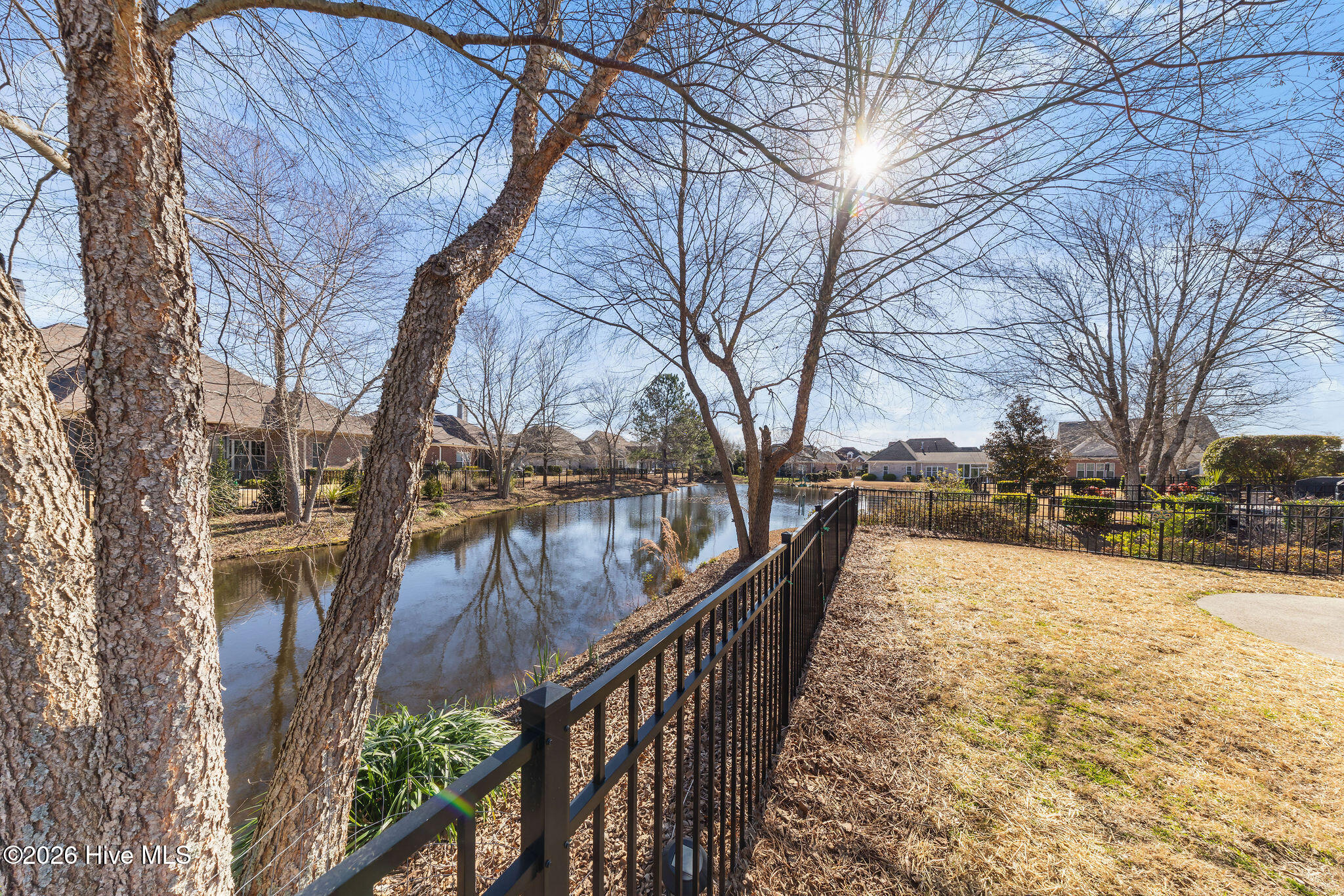 100554560 | Photo 22