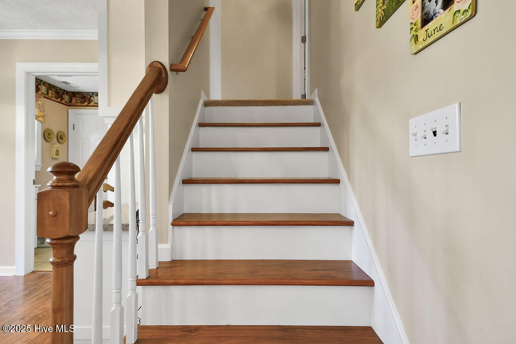 100541437 | Photo 21