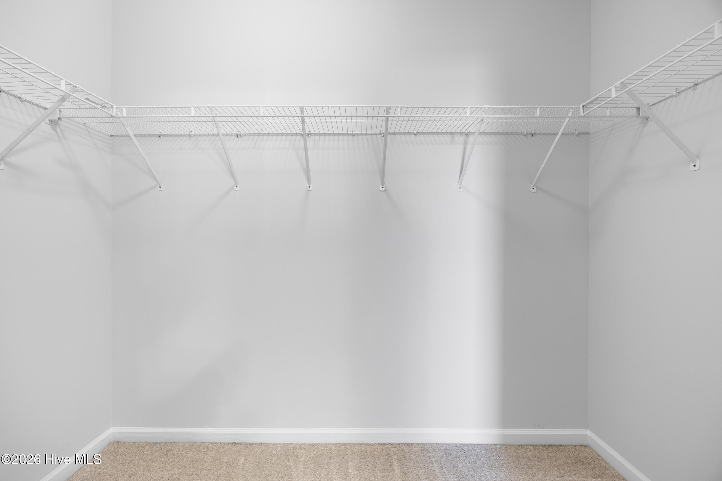 100557487 | Photo 23