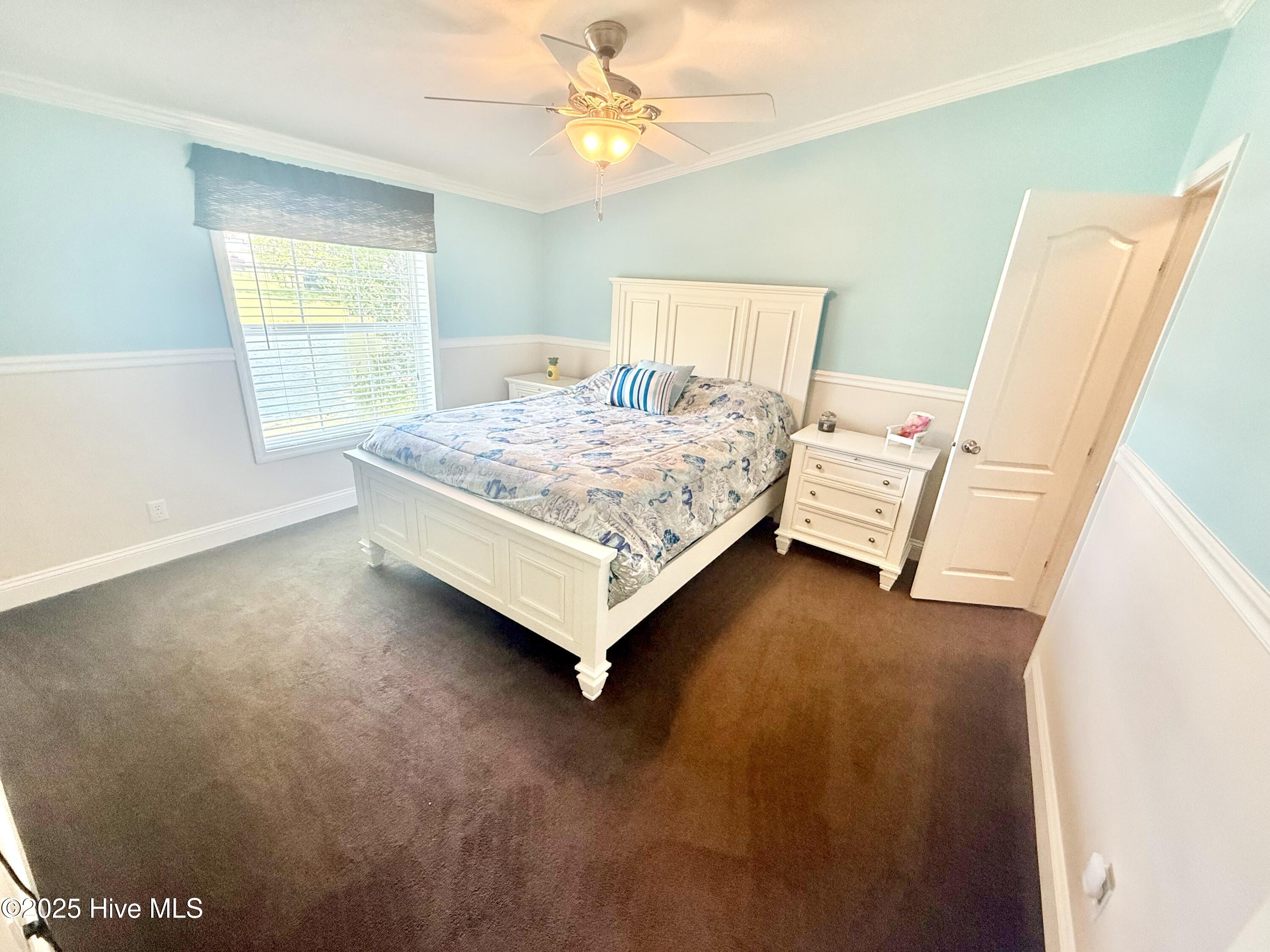 100530784 | Photo 14