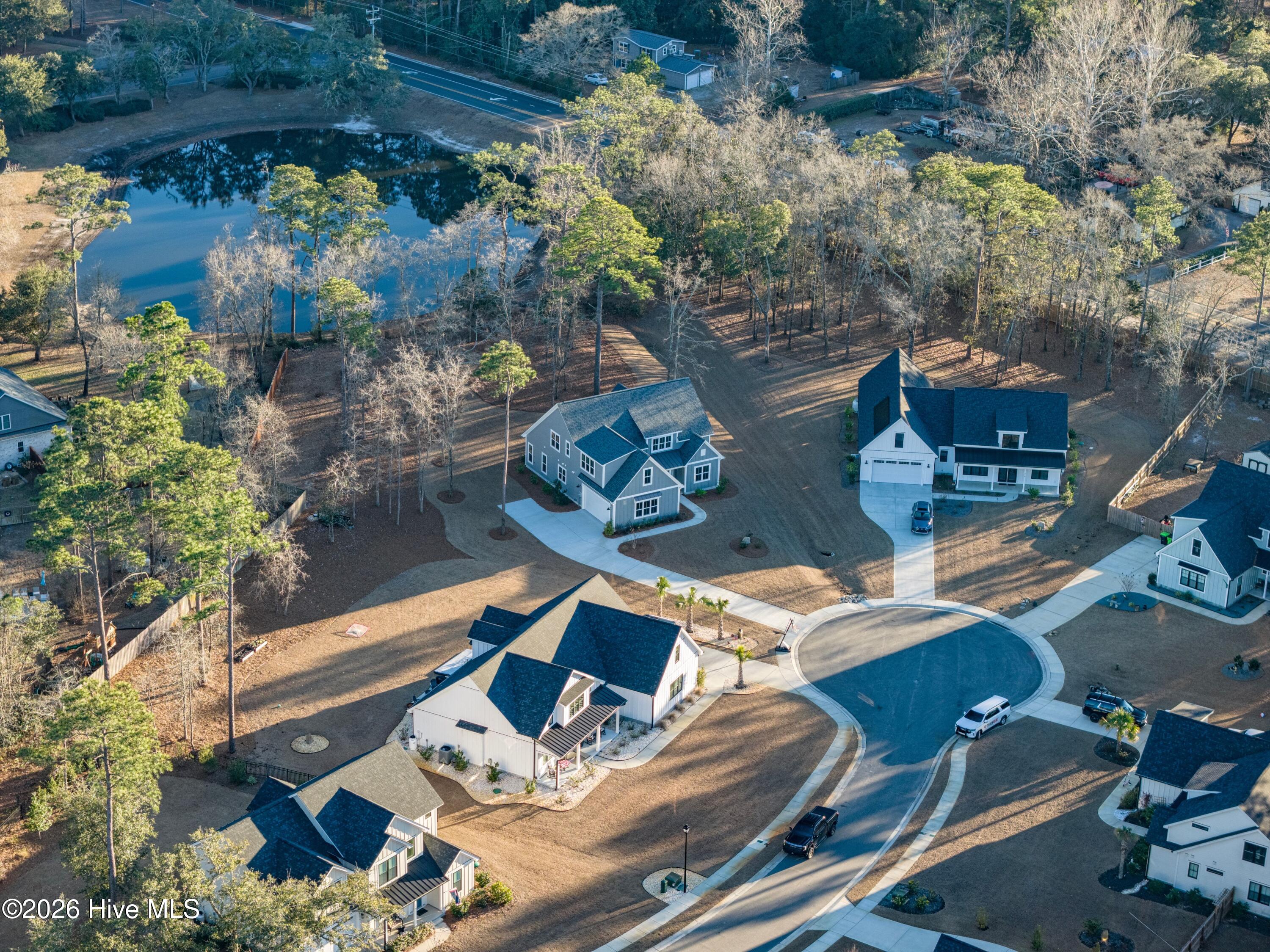 100551987 | Photo 51