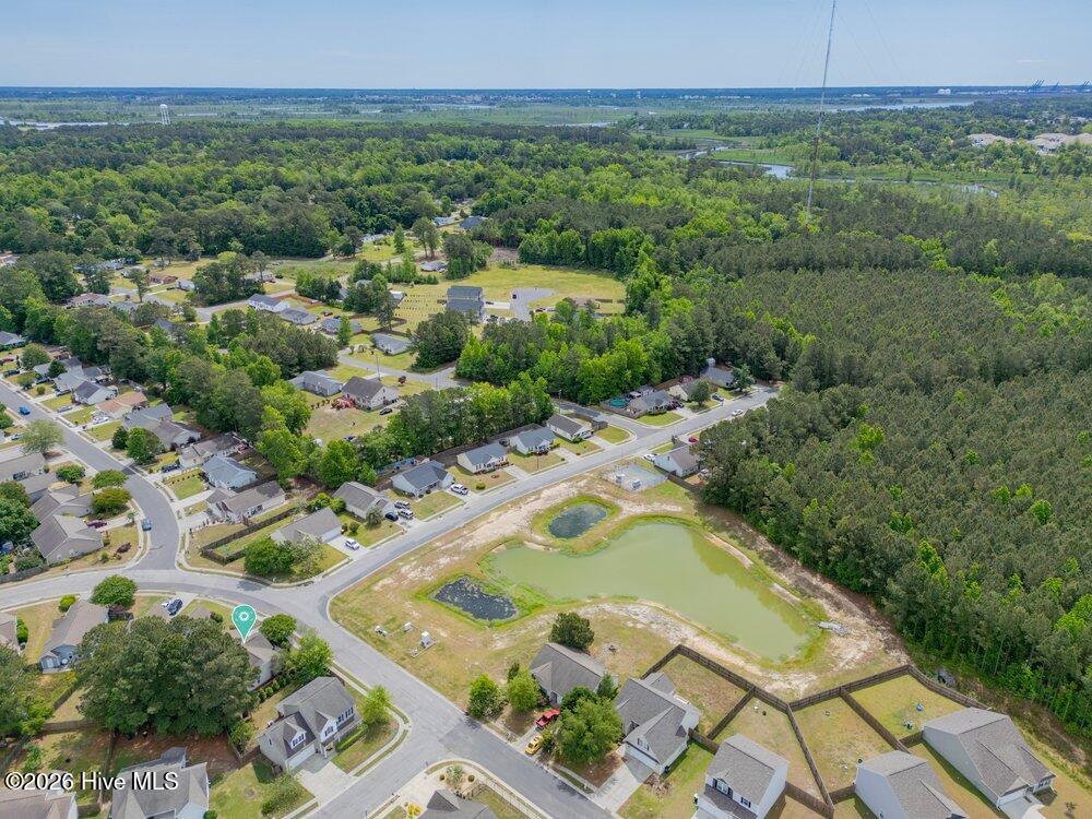 100570589 | Photo 40