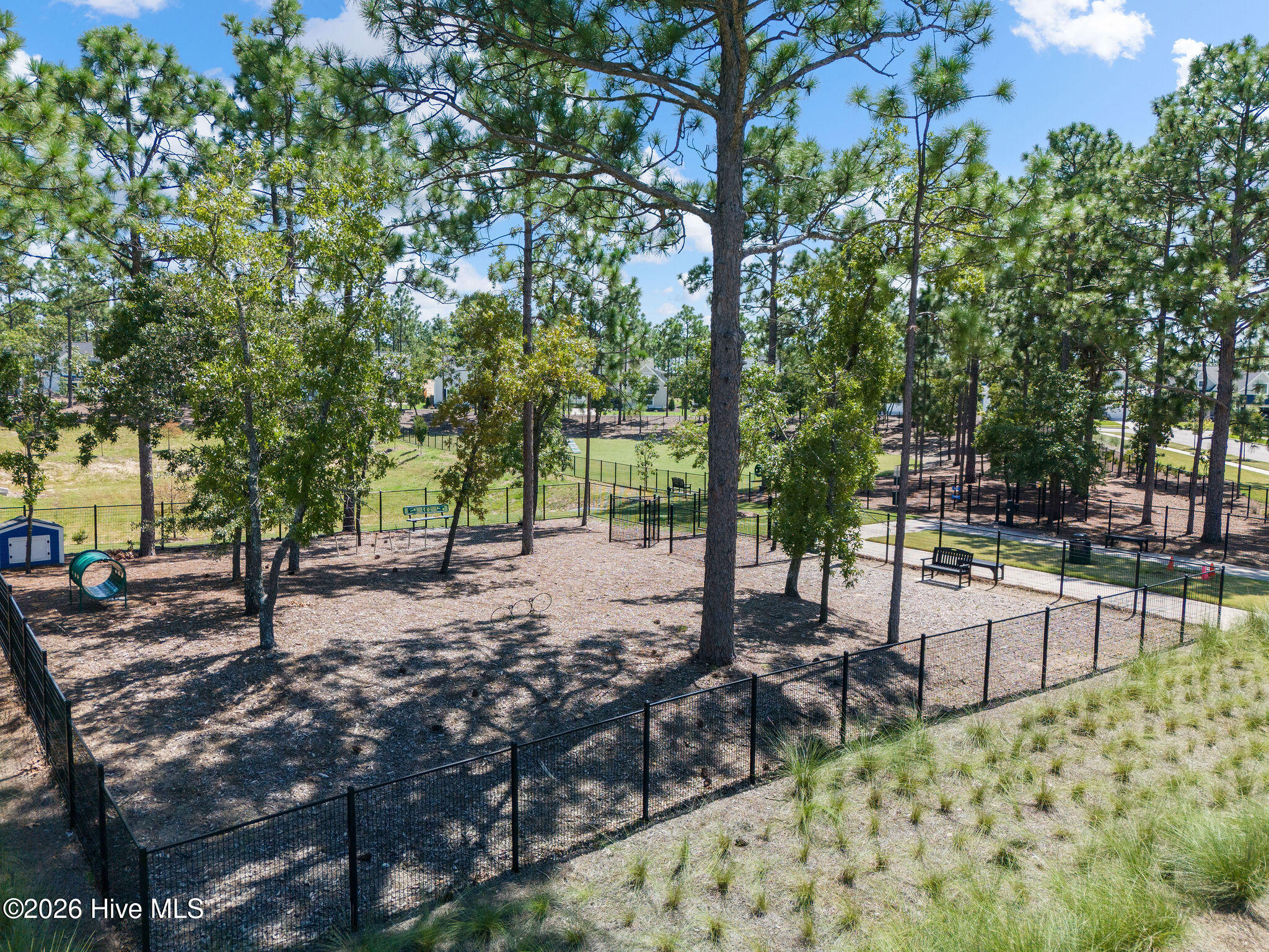 100568538 | Photo 54