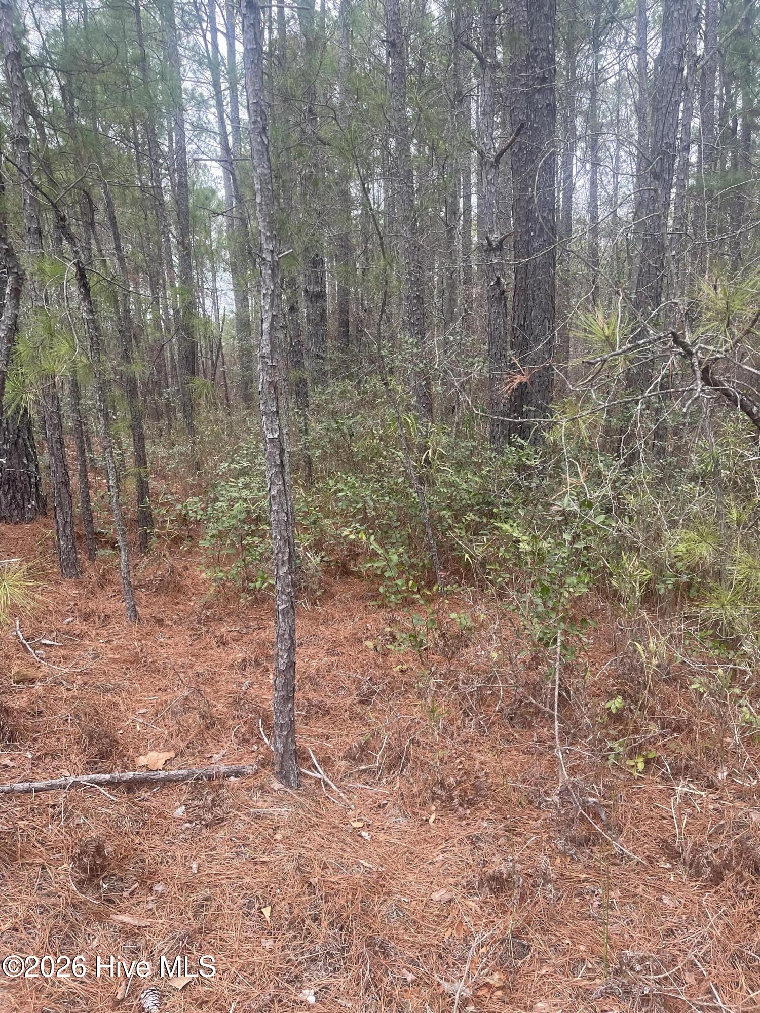Exterior photo of Lot 6 & 7 Bumpy Lane, Sanford, NC 27332. MLS: 100590915