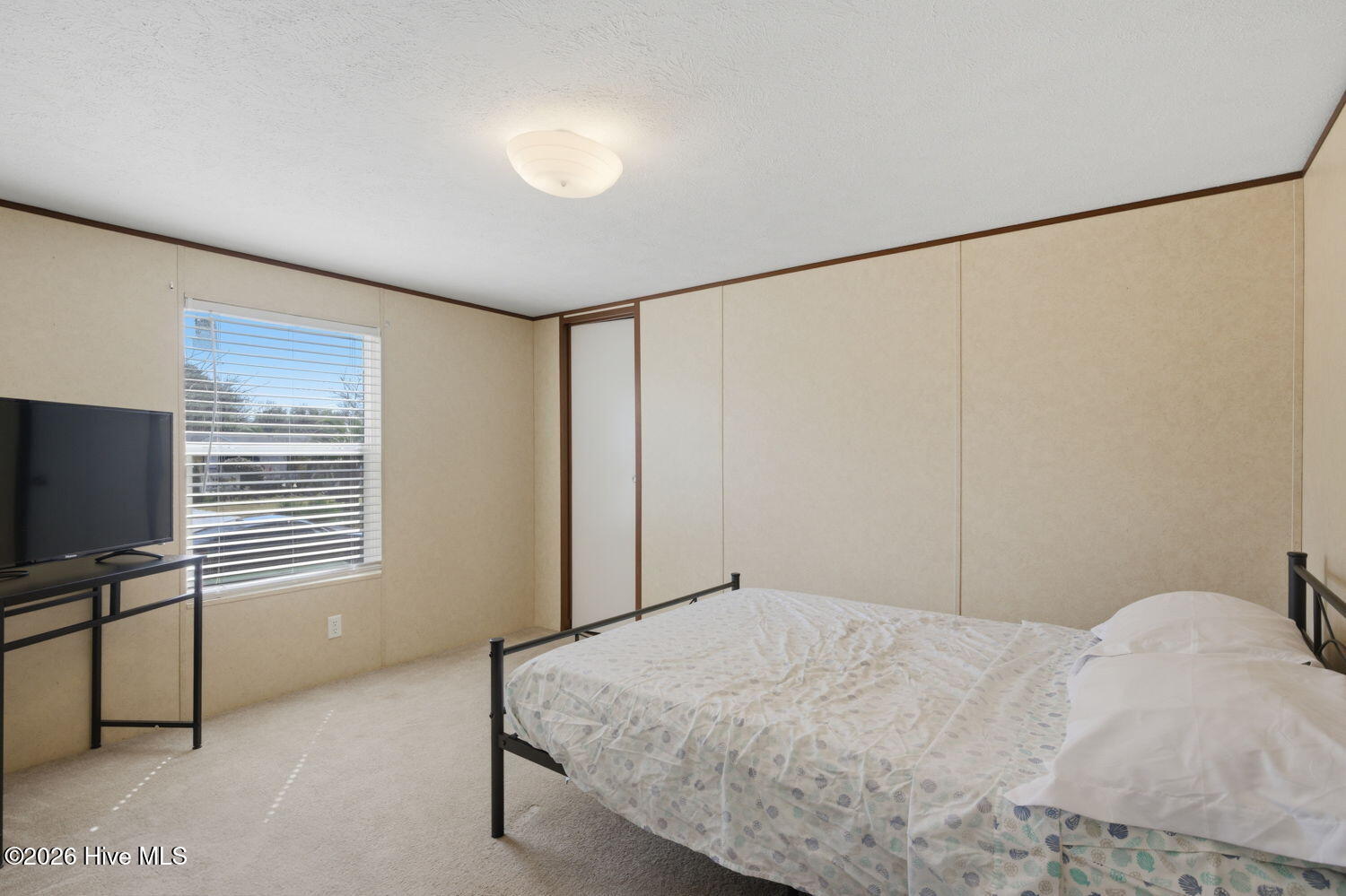 100559177 | Photo 18