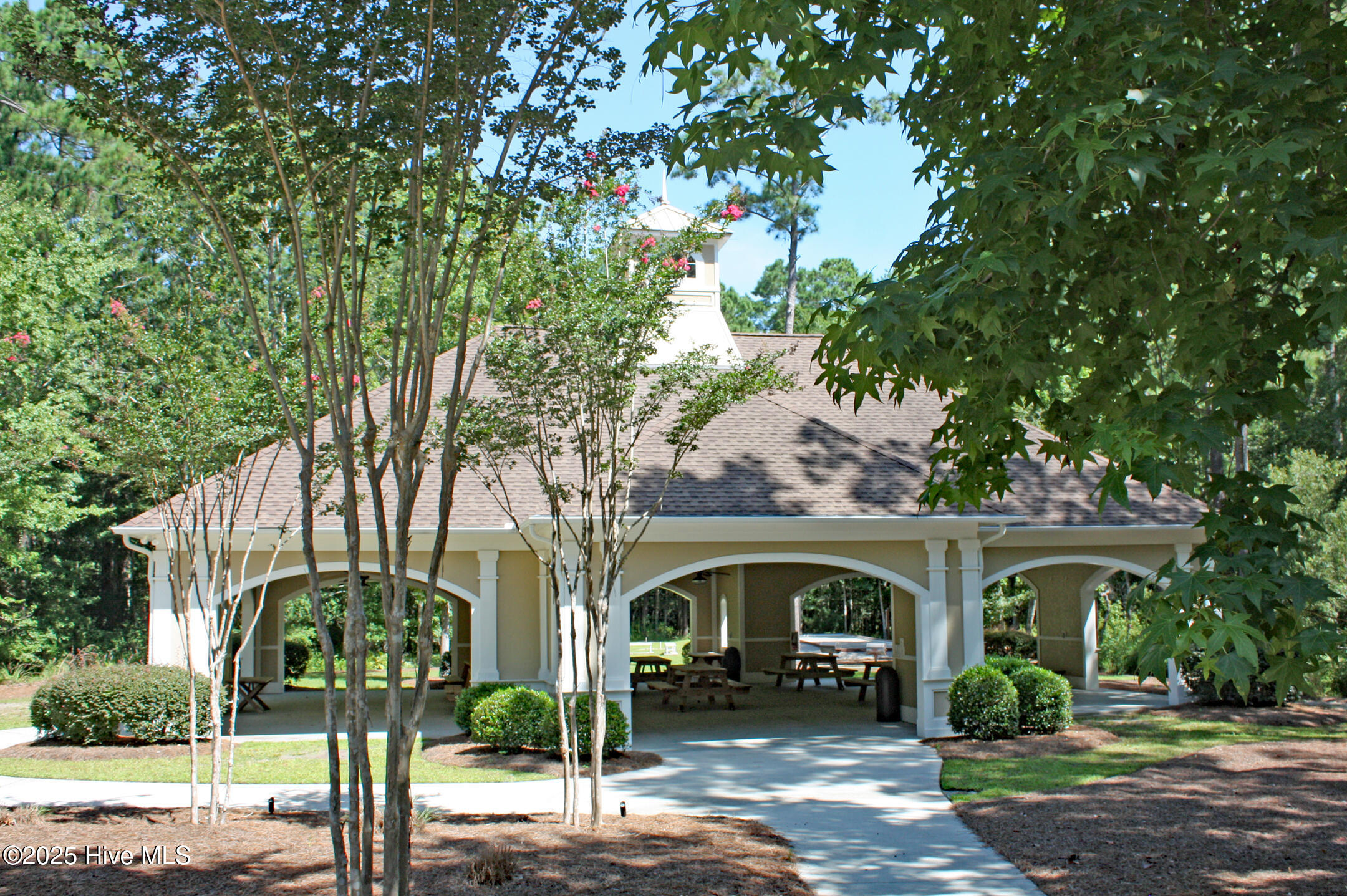 100551469 | Photo 19