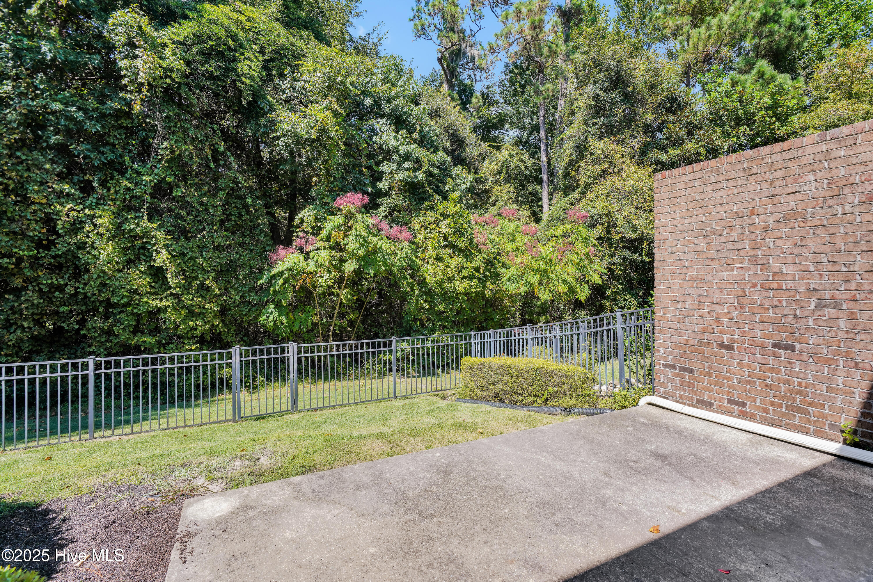 100531017 | Photo 32