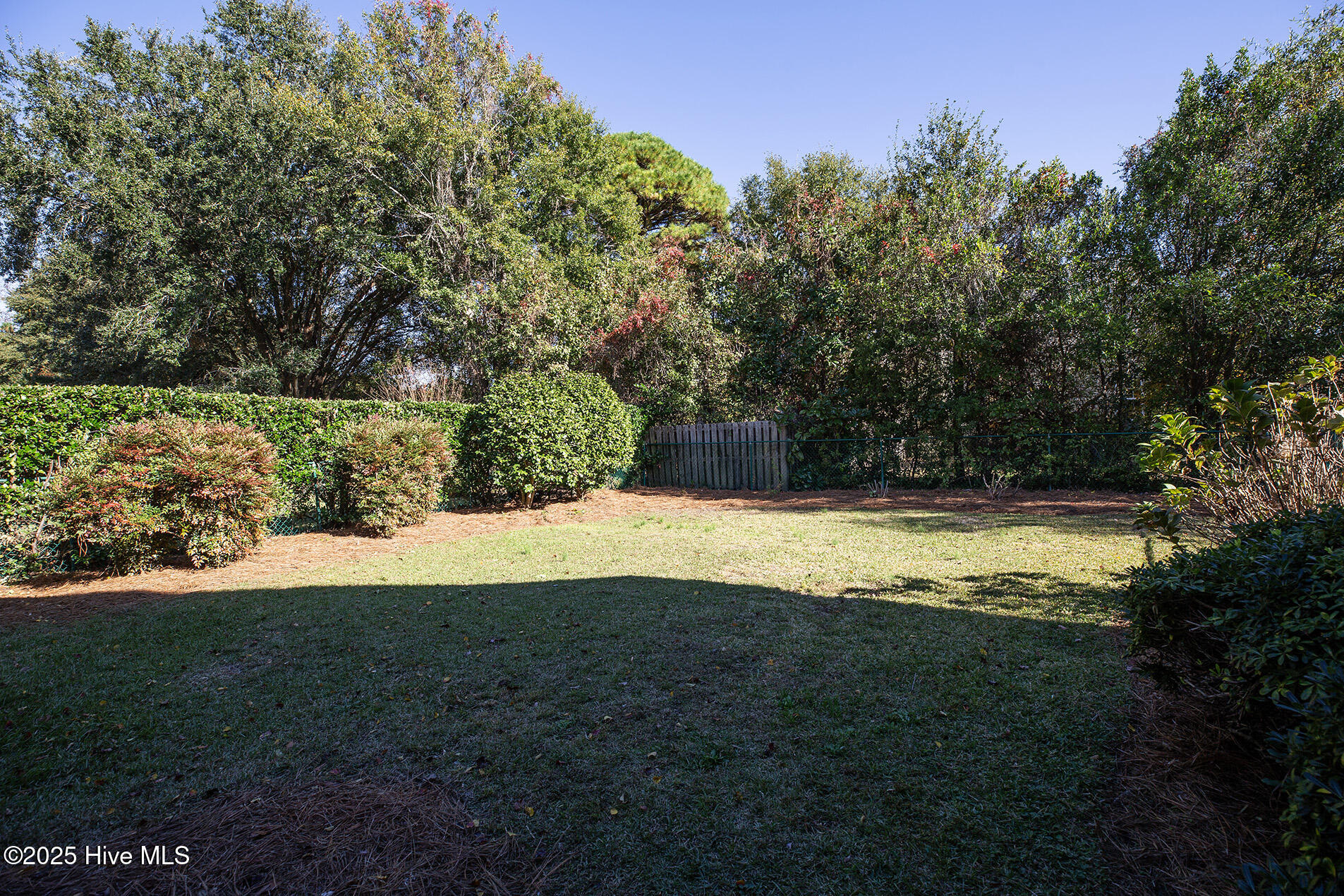 100541648 | Photo 57