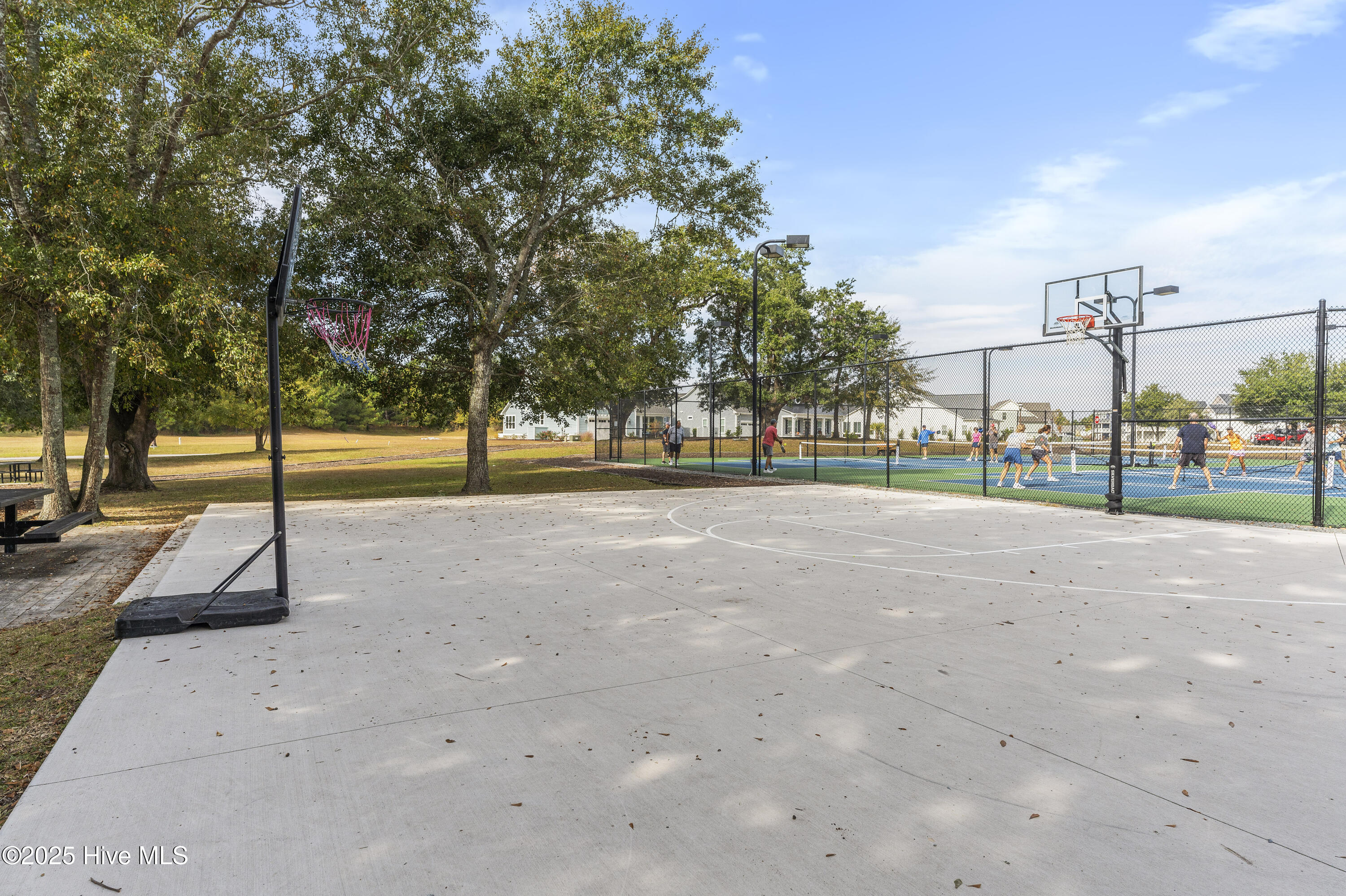 100524767 | Photo 68