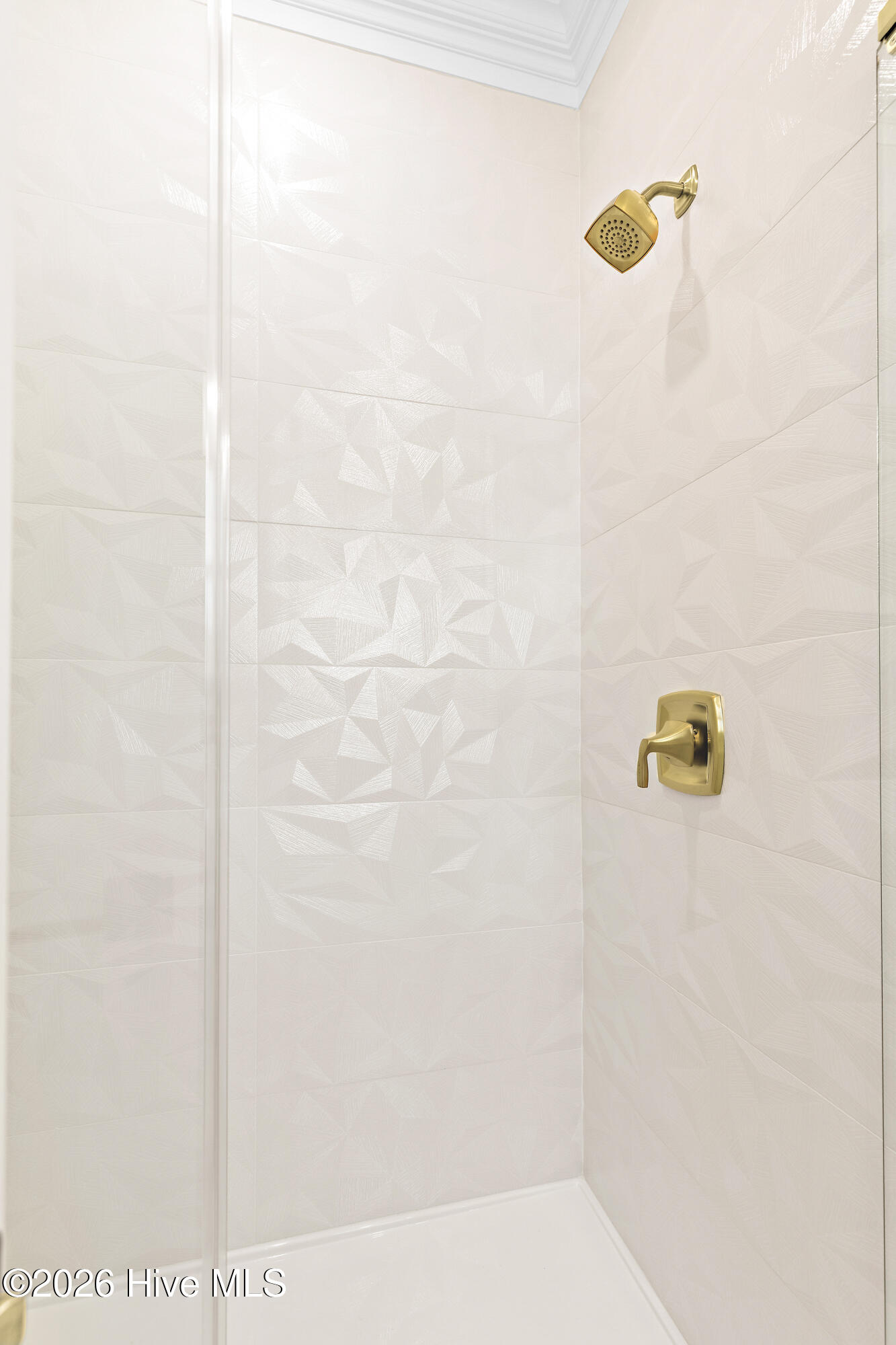 100561185 | Photo 33