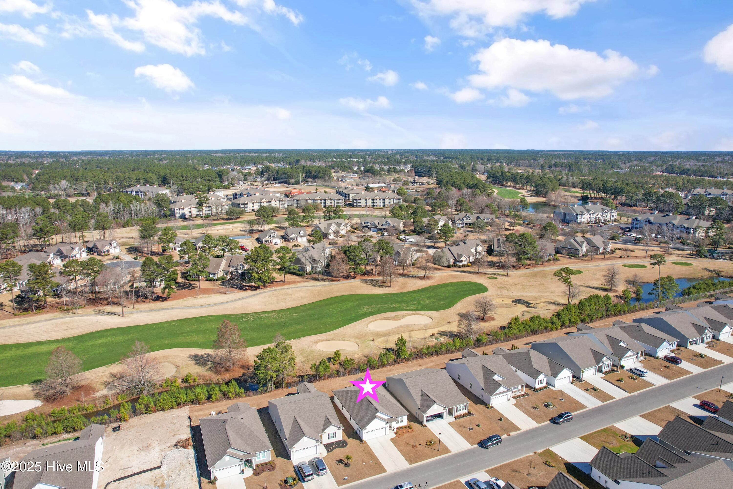 100532742 | Photo 41