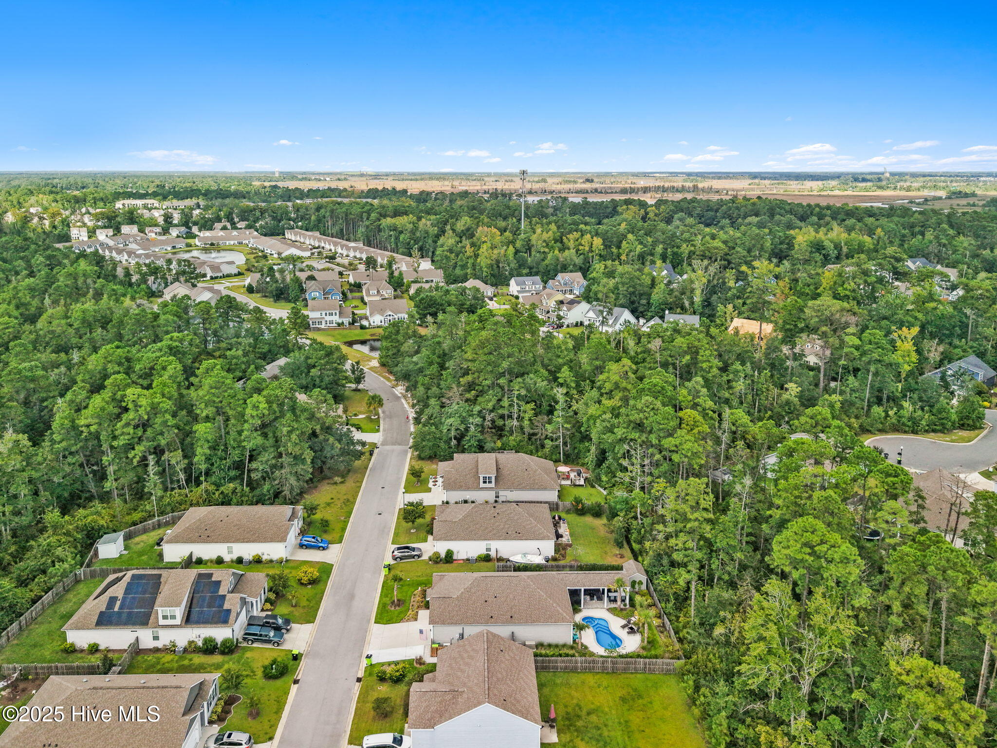 100531628 | Photo 45