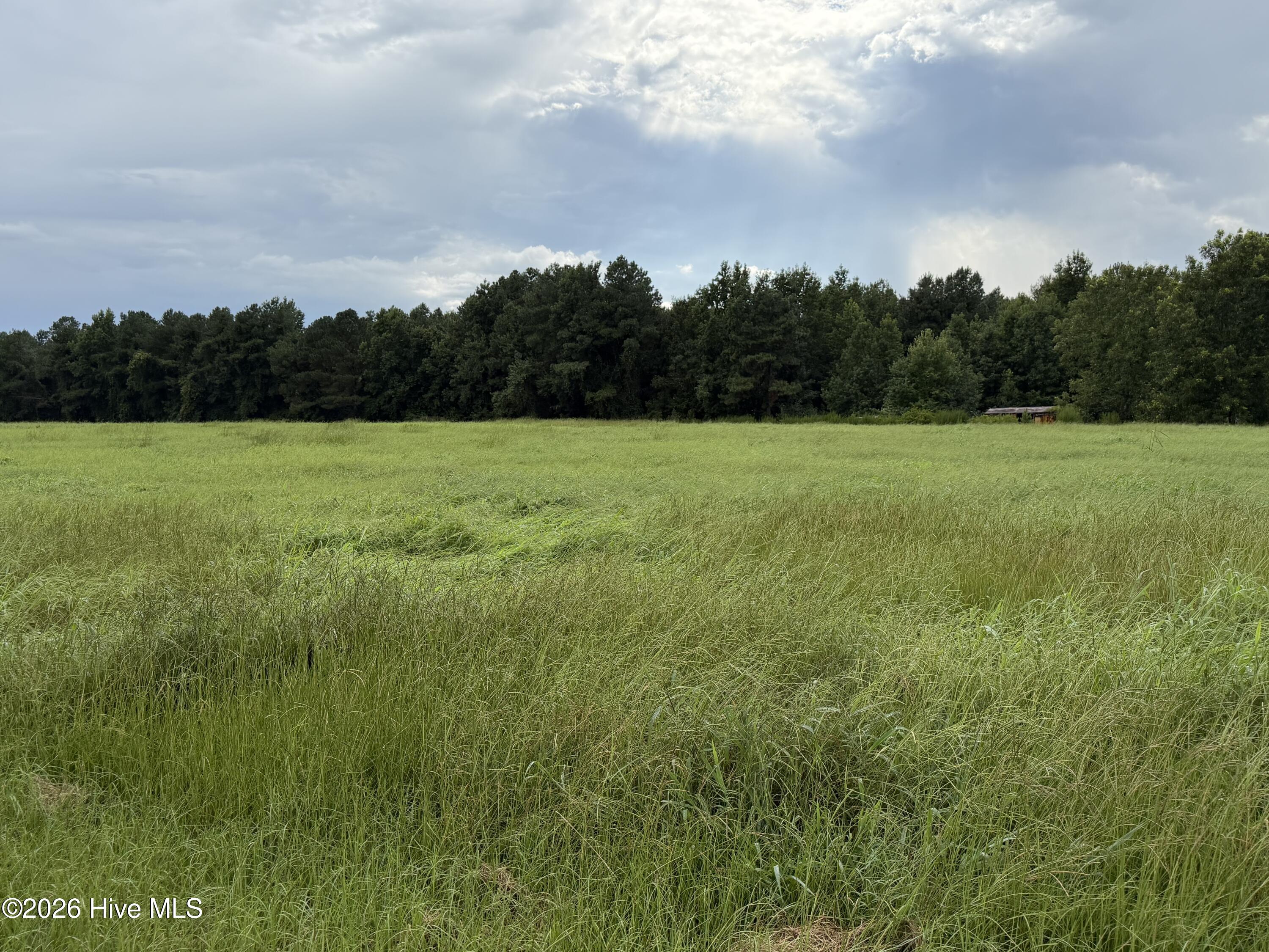 3rd image of 0 Mills Rd, Goldsboro, NC 27530 | MLS# 100596094