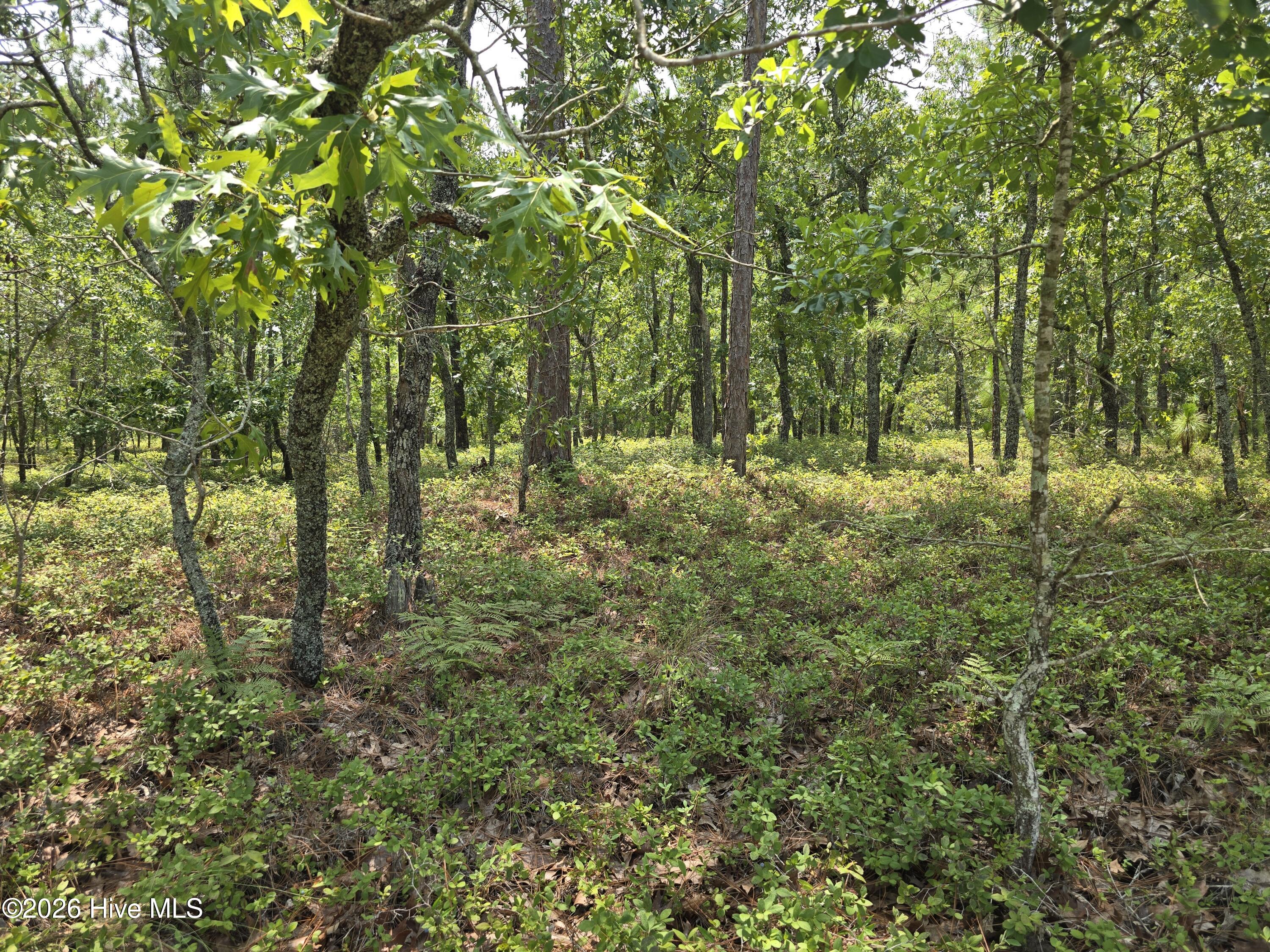 Lot 10 10 Woola Woola Lane,Grantsboro