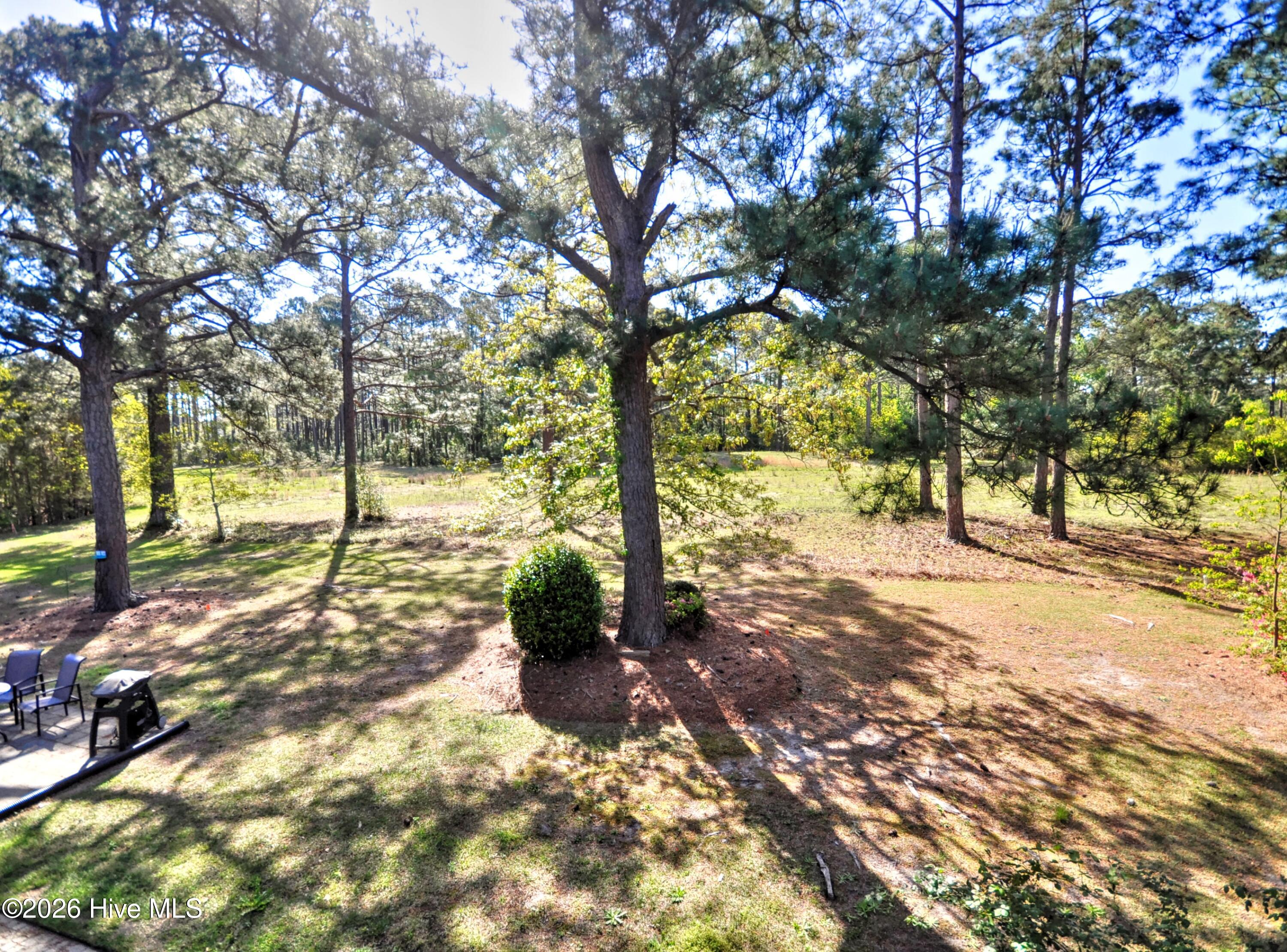 100567651 | Photo 20