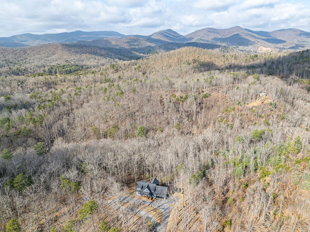 318 Tracks Hollow, Murphy, NC 28906 Listing Photo  48