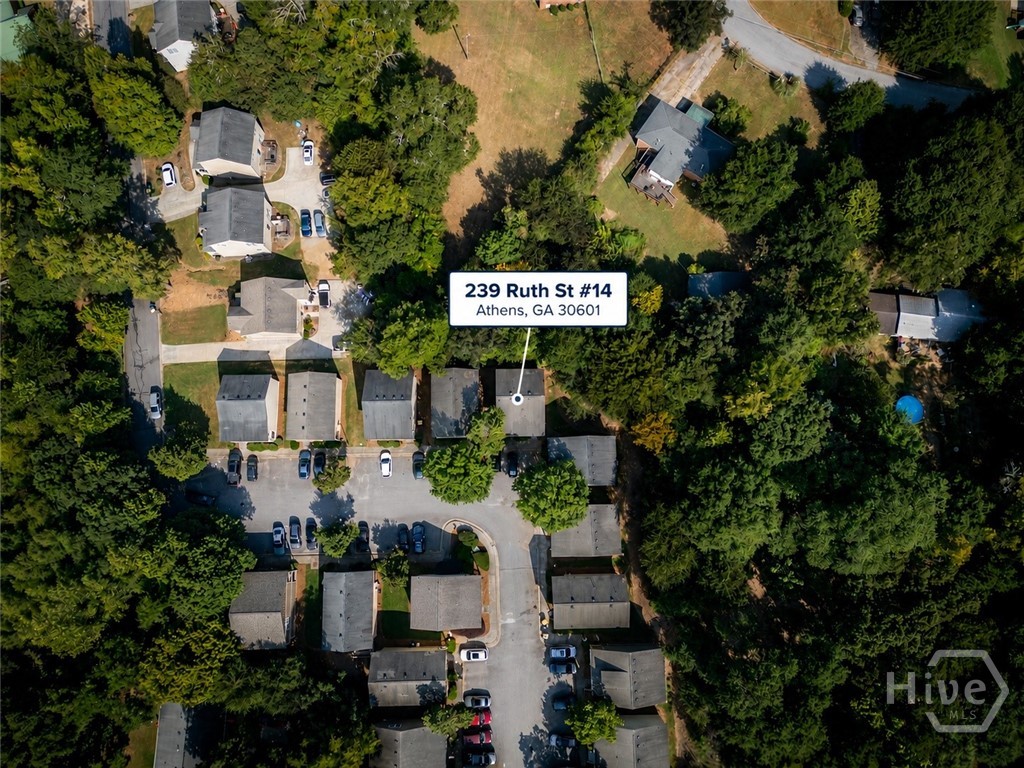 Drone View