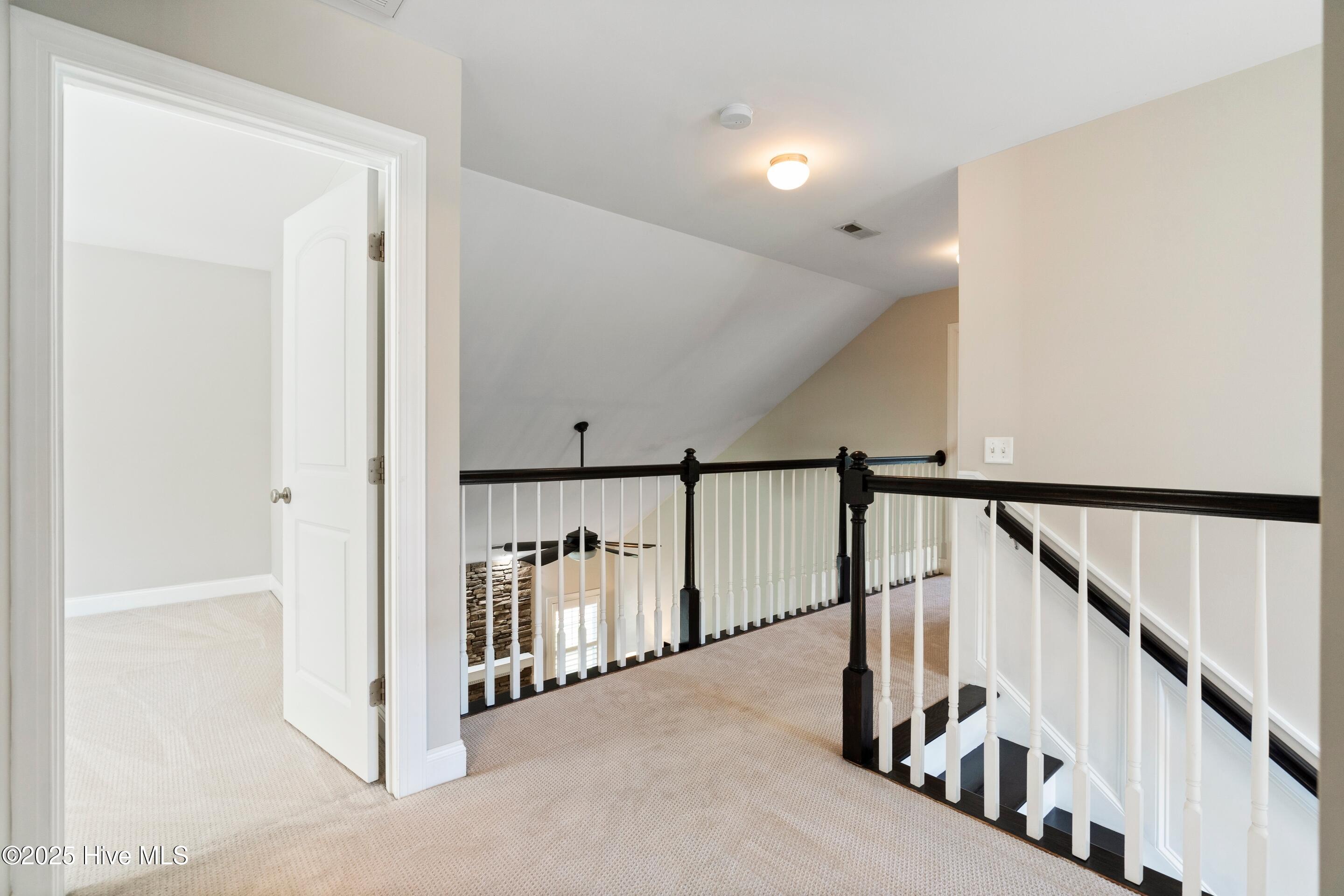 100529495 | Photo 31