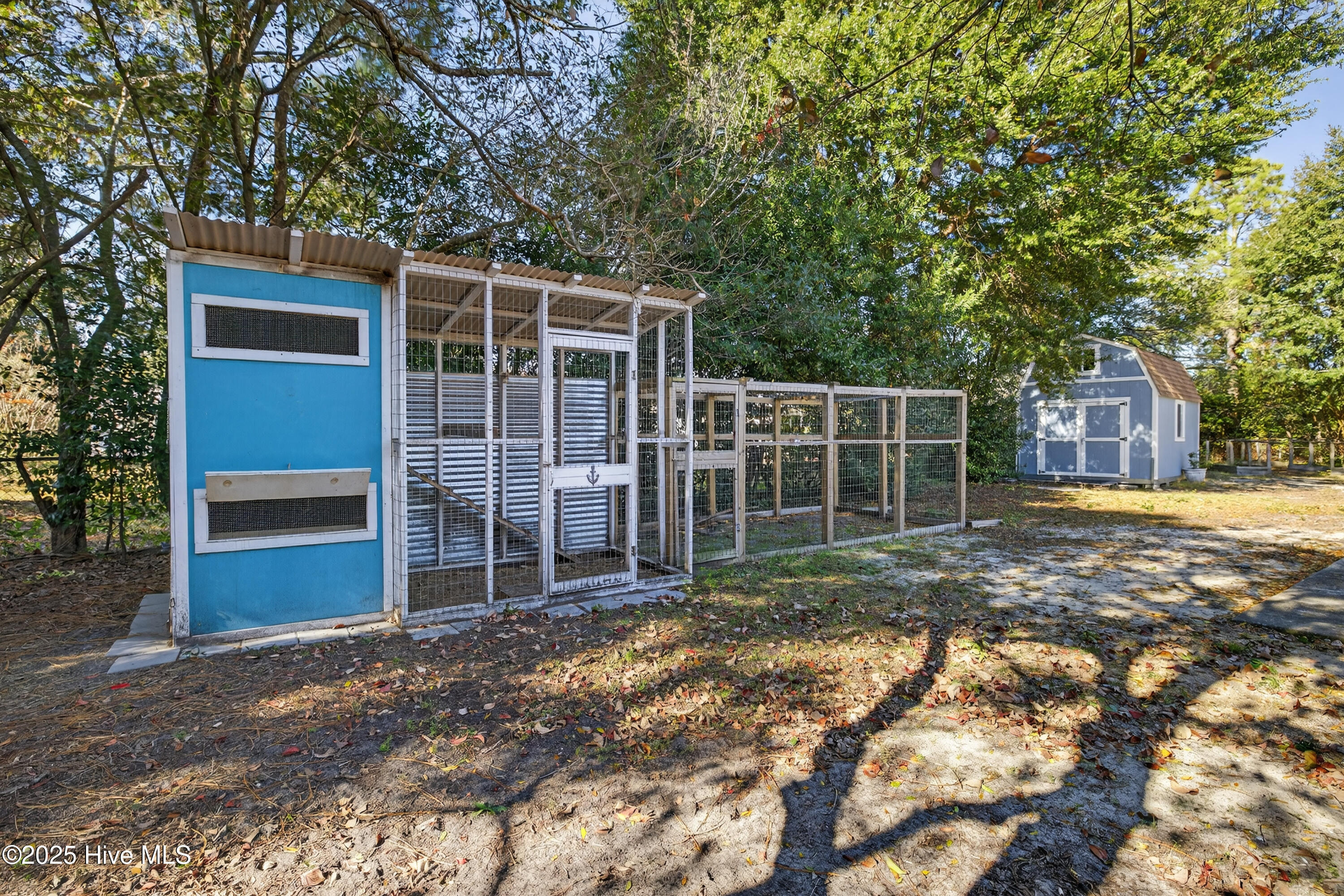 100541302 | Photo 10