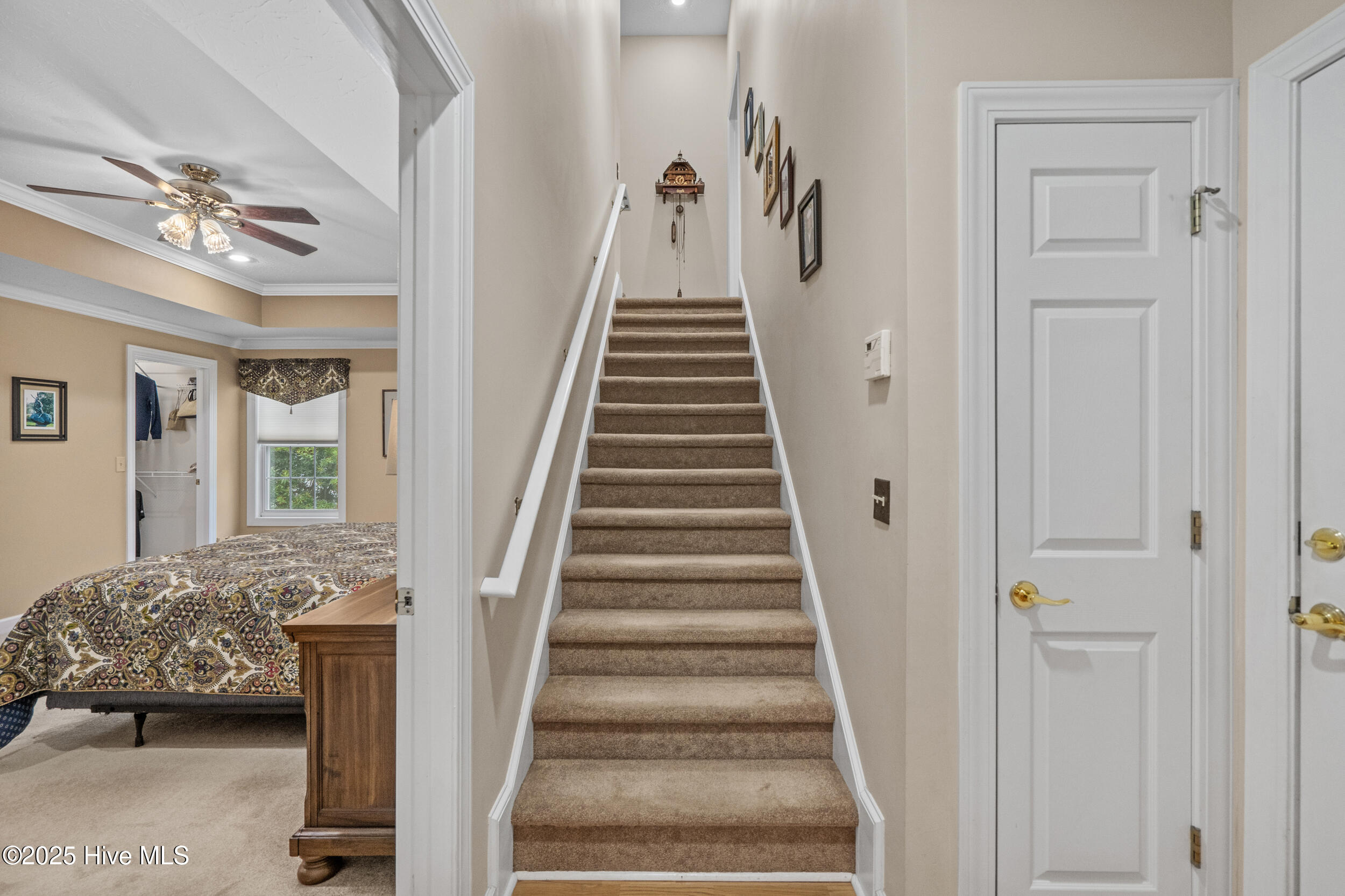 100508973 | Photo 37