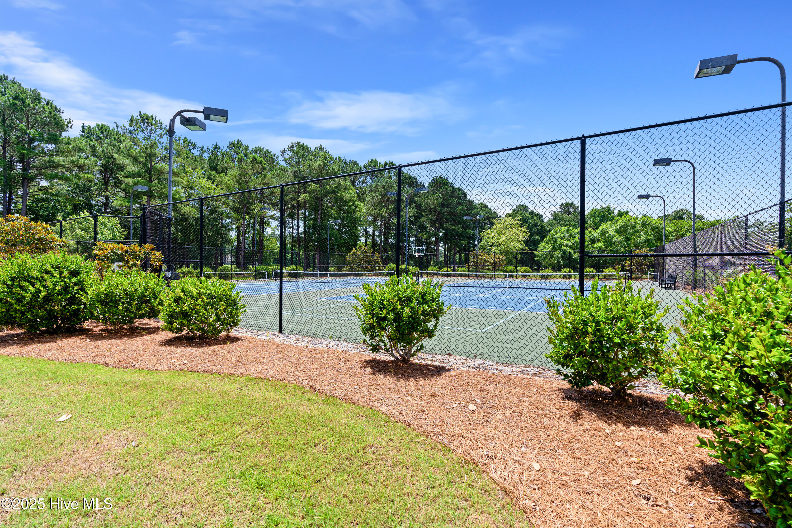 100502305 | Photo 39