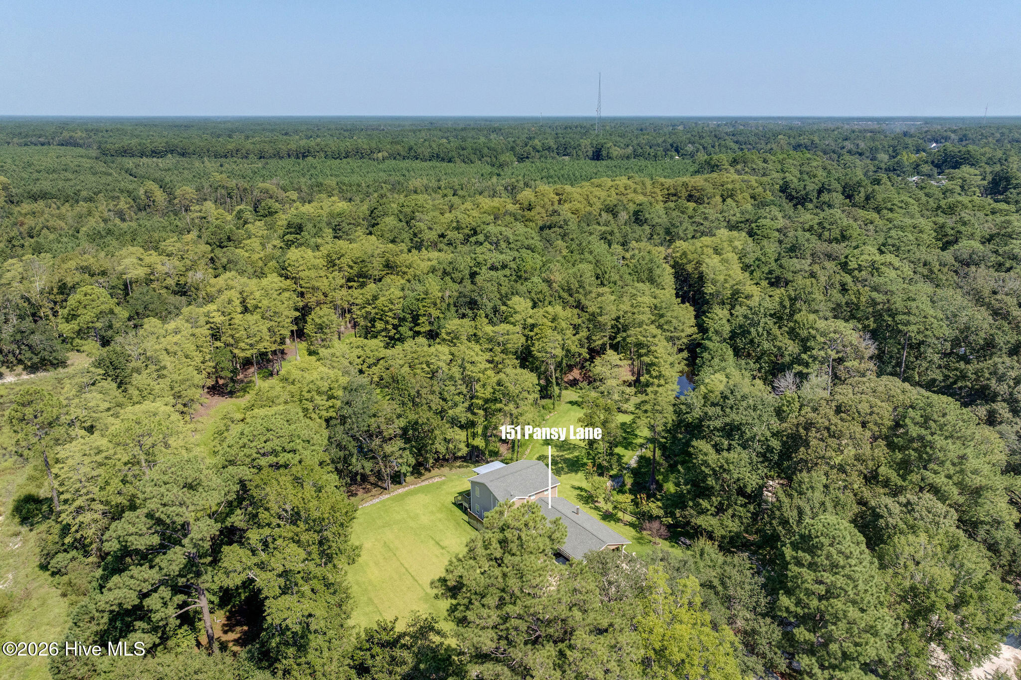 100558109 | Photo 62