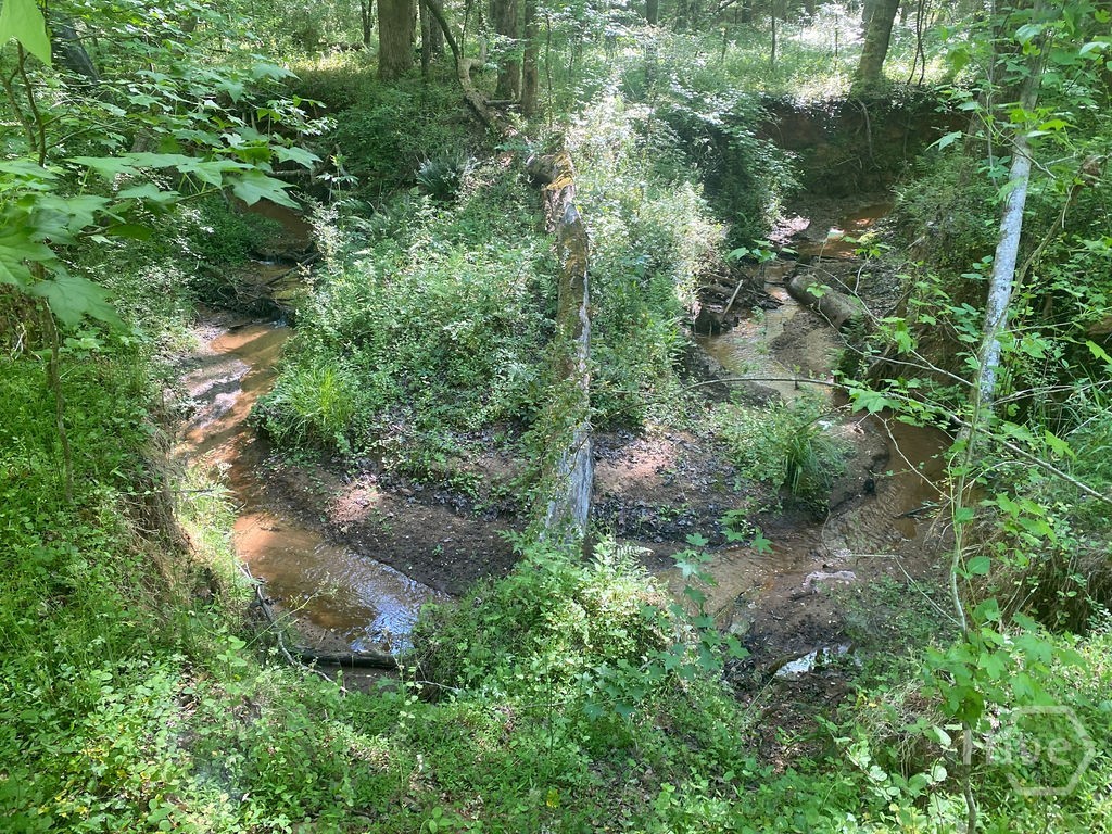 6077 Colham Ferry Road, Watkinsville, GA, 30677