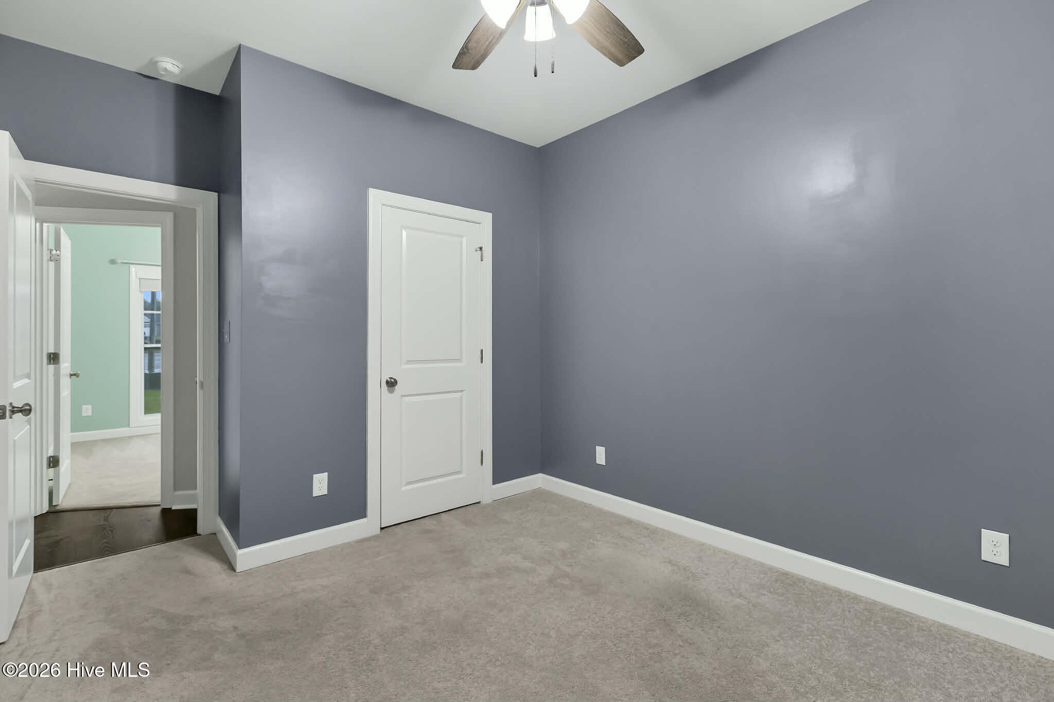 100561809 | Photo 15