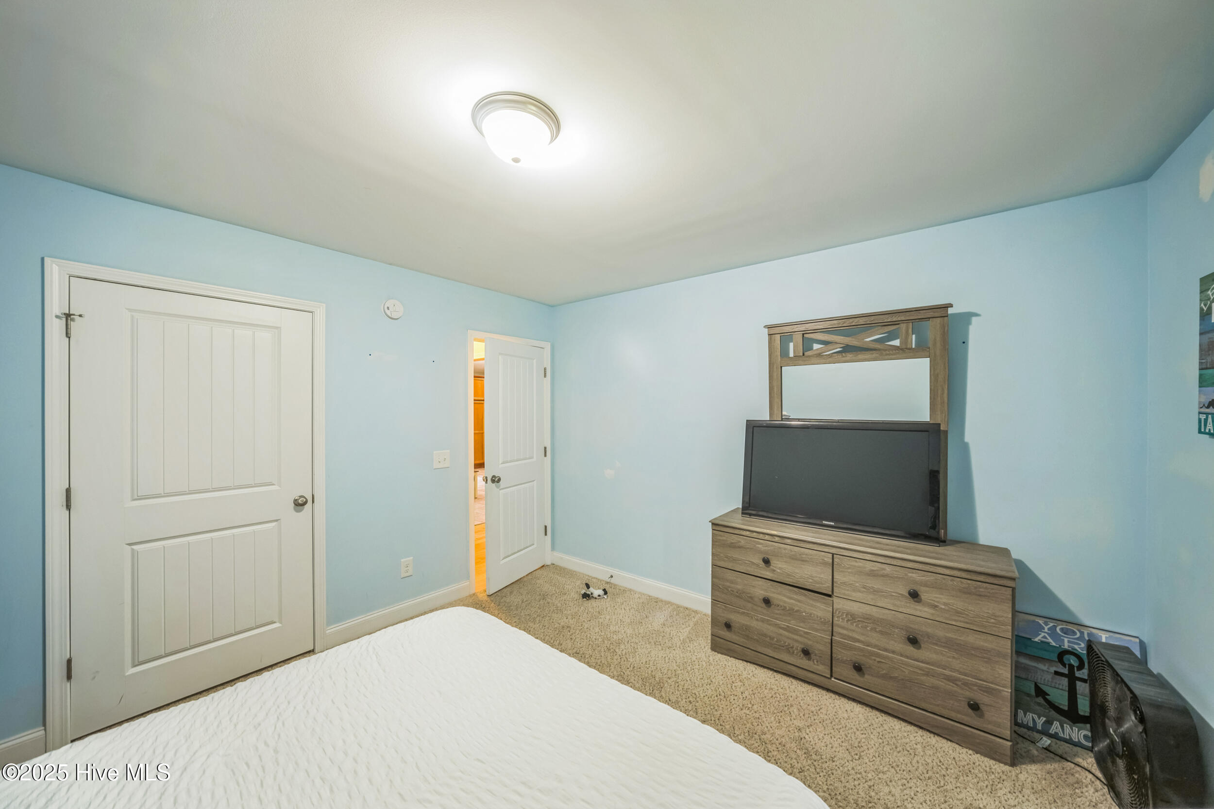 100517815 | Photo 19