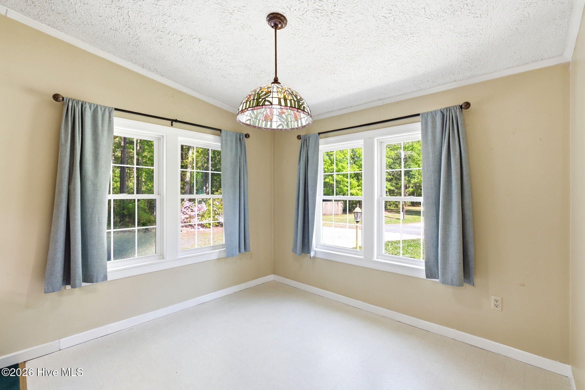 100568157 | Photo 37