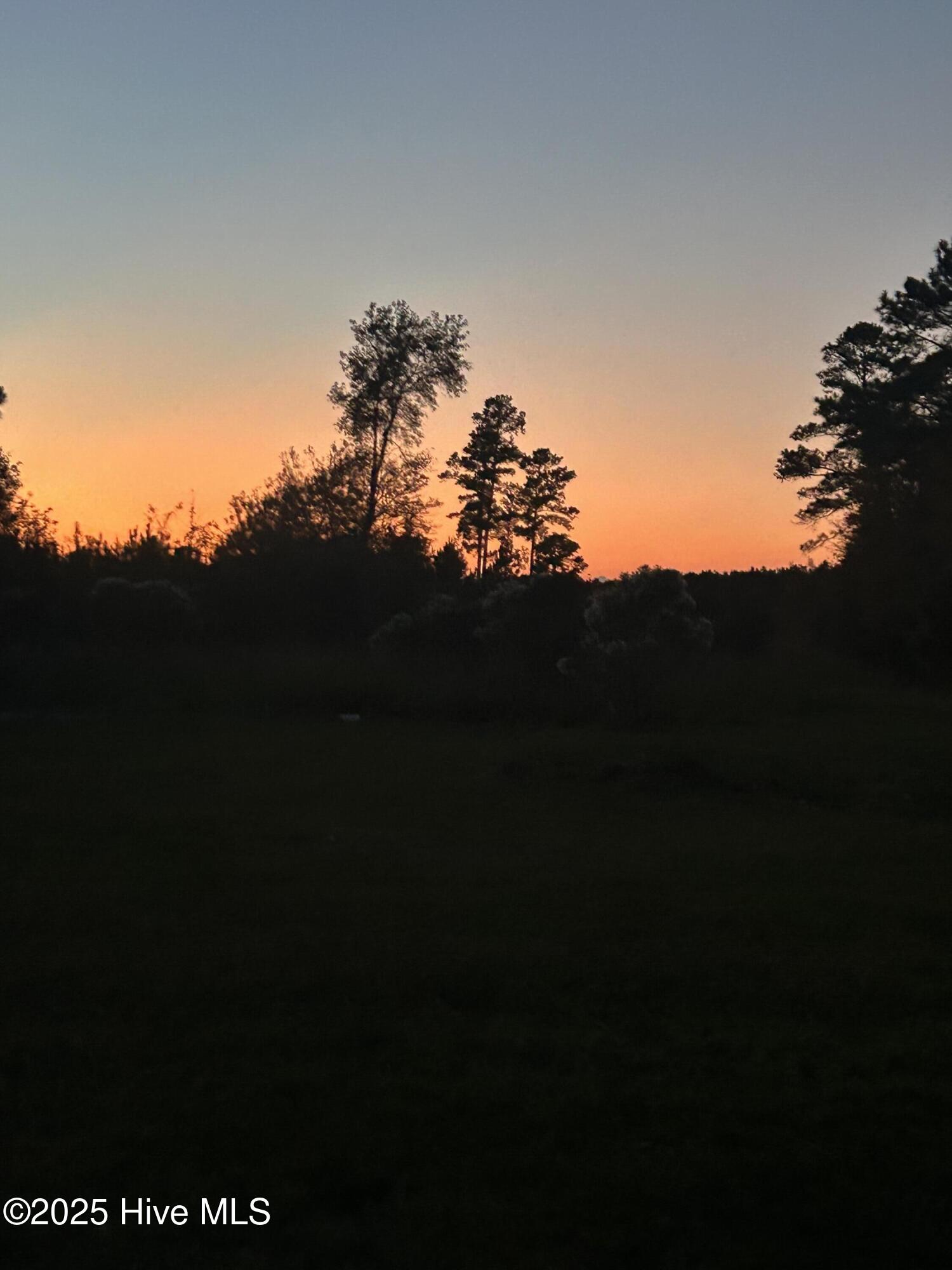 Homes for sale in Deep Run, NC | 3292 Sargett Brown Rd, Deep Run, NC 28525 | MLS# 100538702