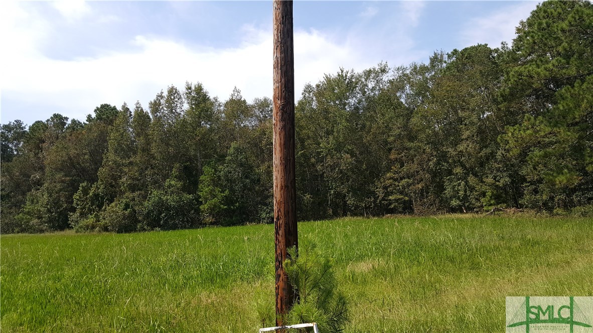 lot 2 Frazier Drive, Riceboro, GA, 31323