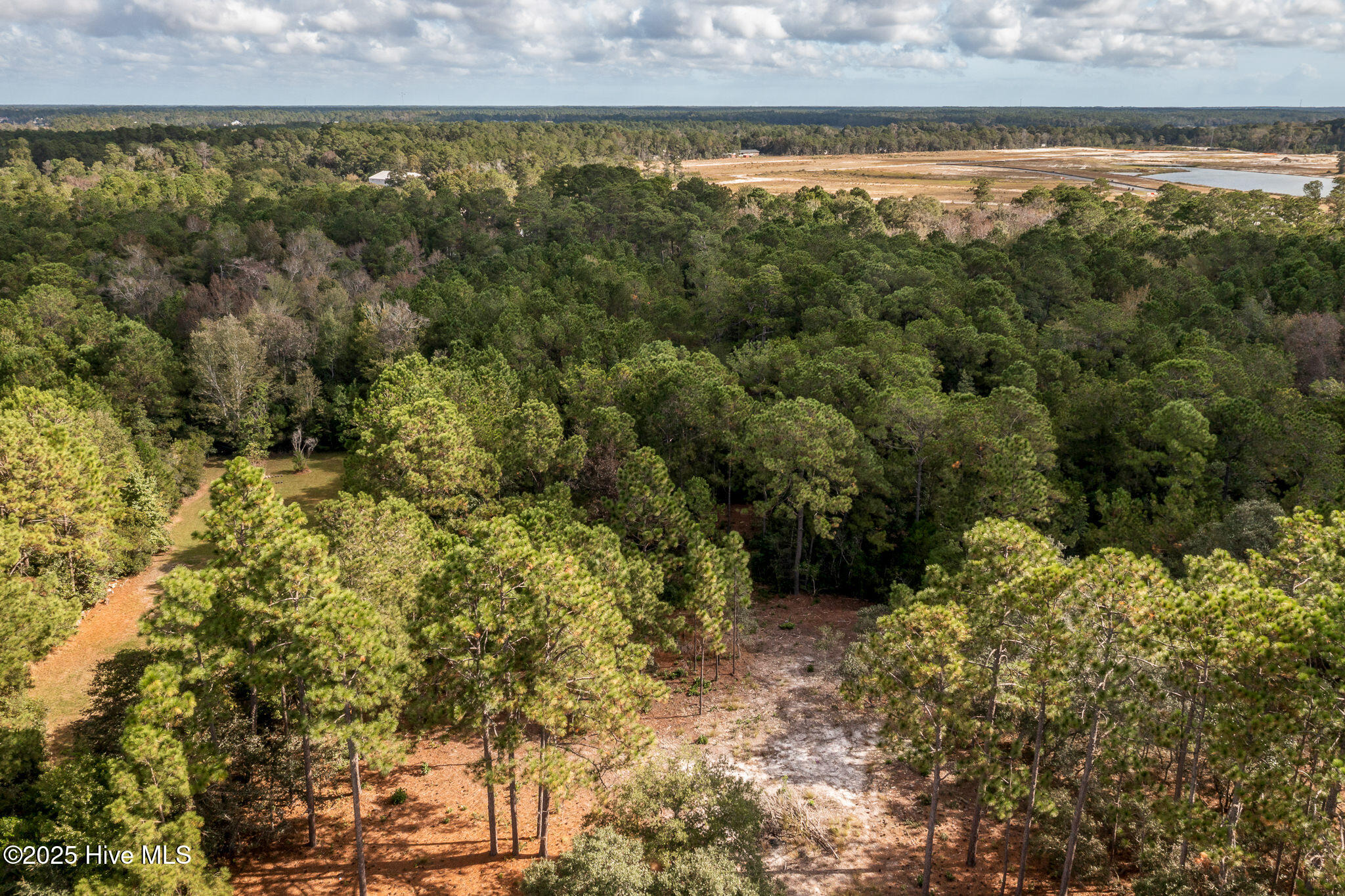 100534837 | Photo 12