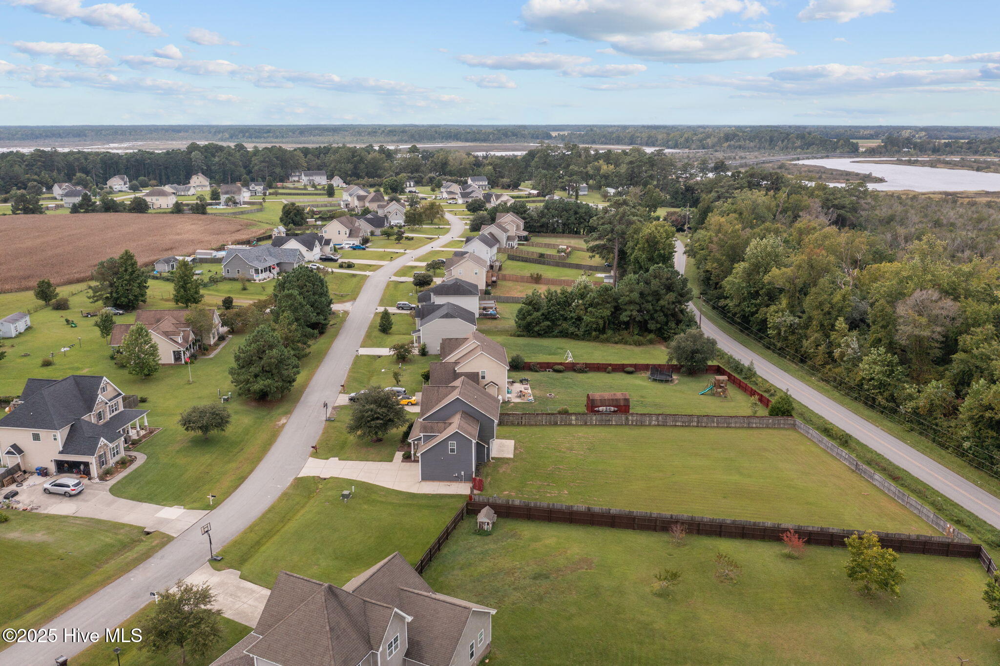 100529601 | Photo 42